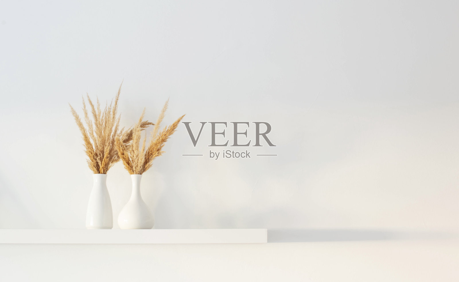 白墙背景的木架上，白色花瓶里的干野花花束照片摄影图片