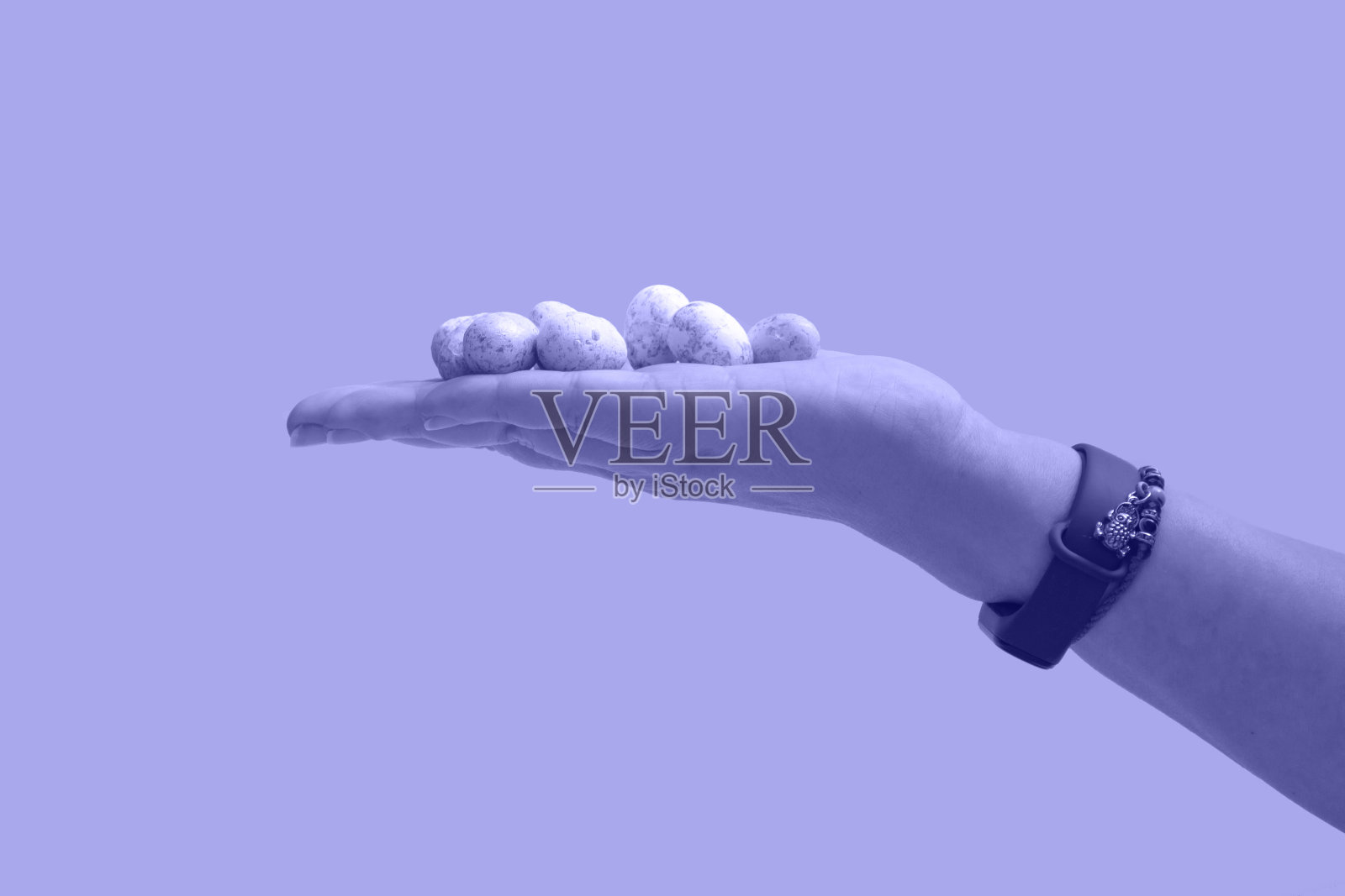 自然颜色的鹌鹑蛋在一个女性的手在一个非常接近的背景。横幅。特写镜头照片摄影图片