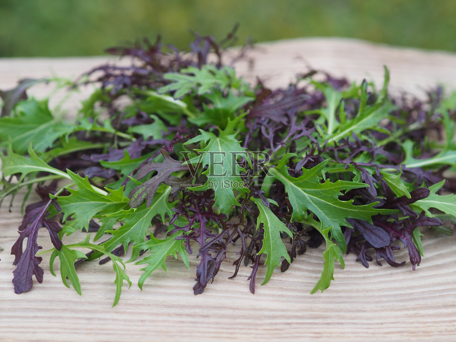 红色和绿色的日本芥菜水菜叶在一个轻木桌子上，特写，平面布局。对素食者和素食者营养有用的辛辣草药，含有维生素和碘照片摄影图片