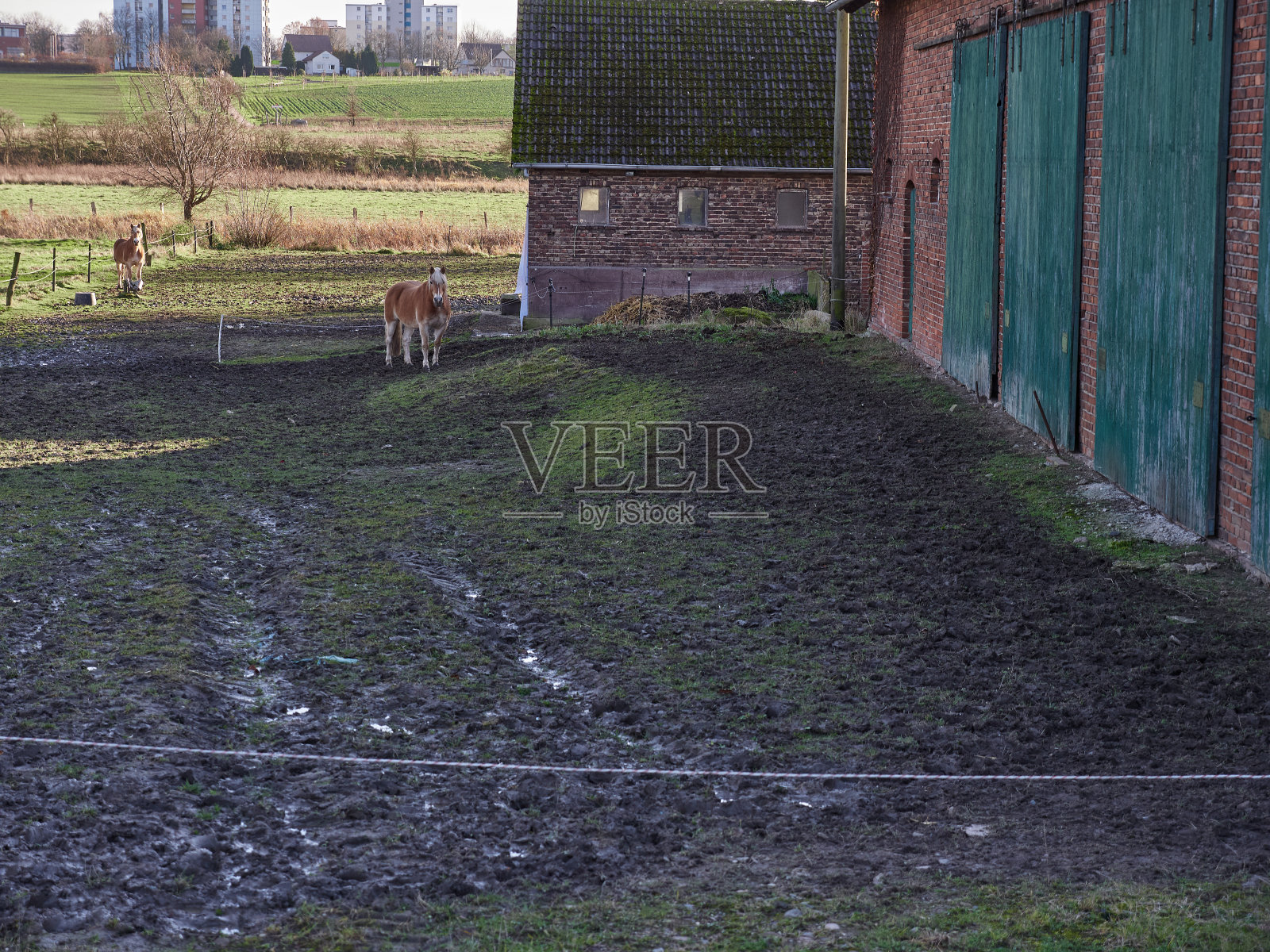 有马匹的农场照片摄影图片
