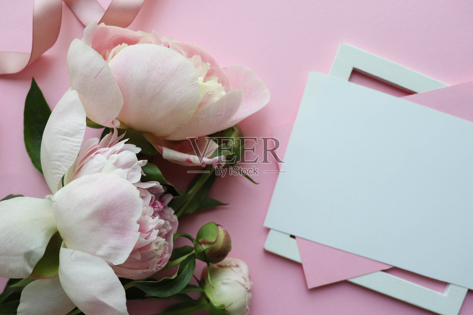 粉红色的牡丹花束在粉红色的背景和文本空间照片摄影图片