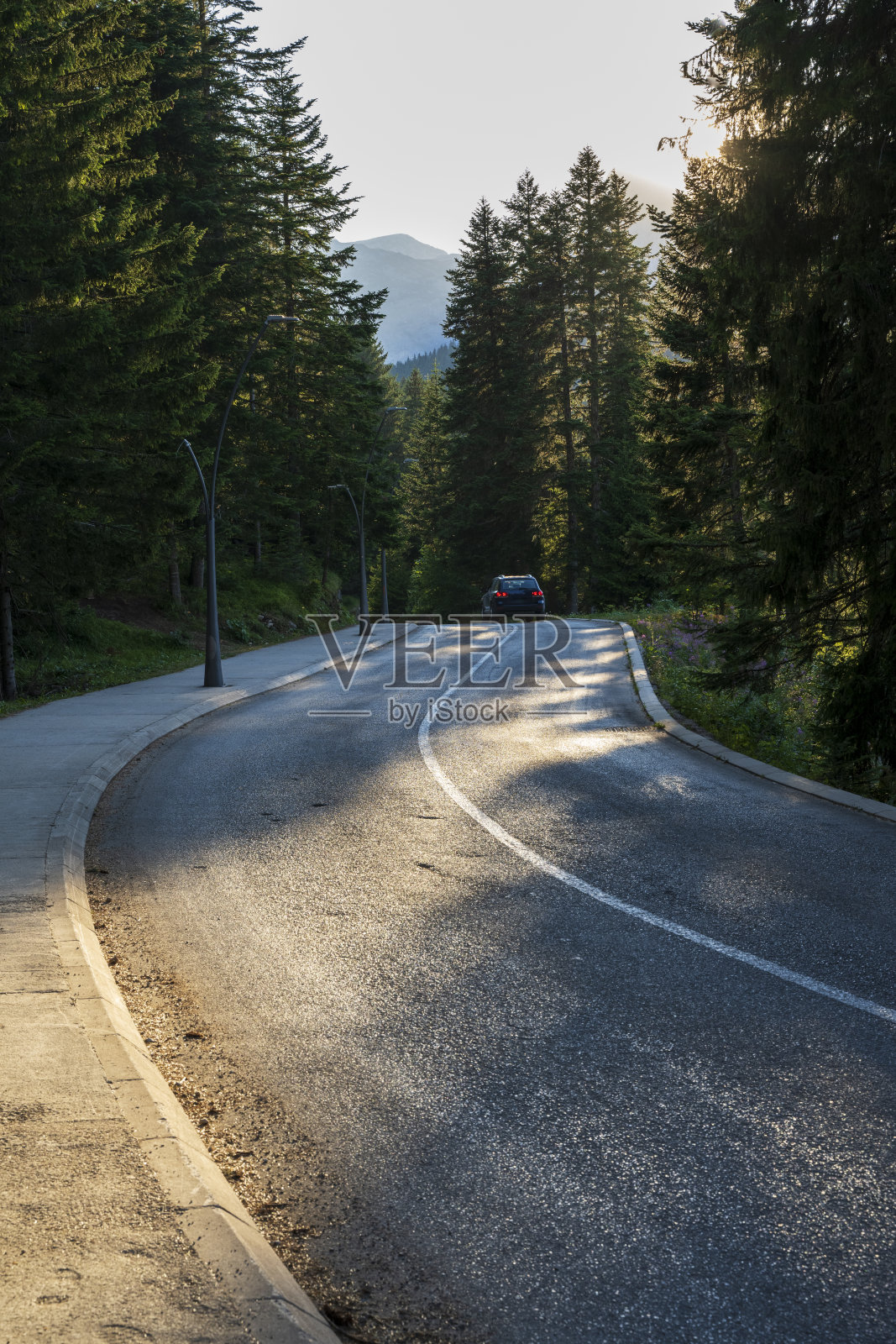 山路穿过森林照片摄影图片
