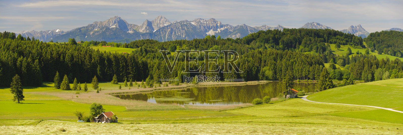 春天的草地和山脉的全景景观照片摄影图片
