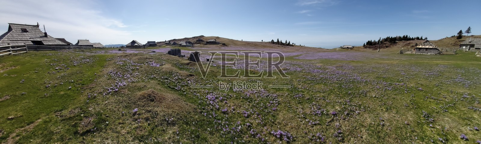 盛开的山照片摄影图片