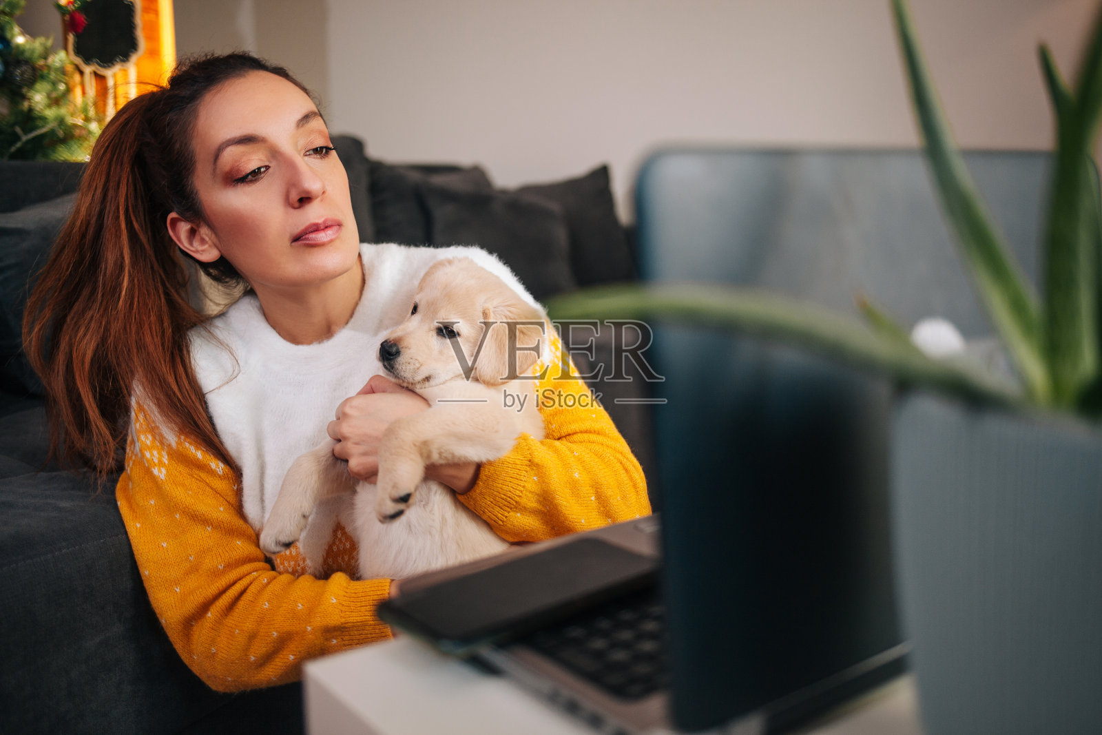 女人在家里用笔记本电脑工作，宠物狗陪着她照片摄影图片