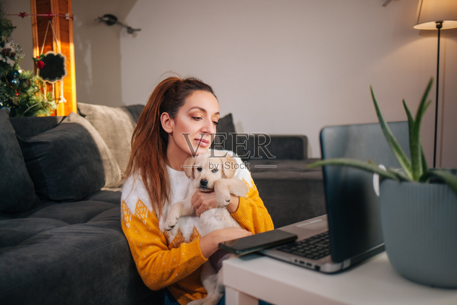 女人在家里用笔记本电脑工作，宠物狗陪着她照片摄影图片