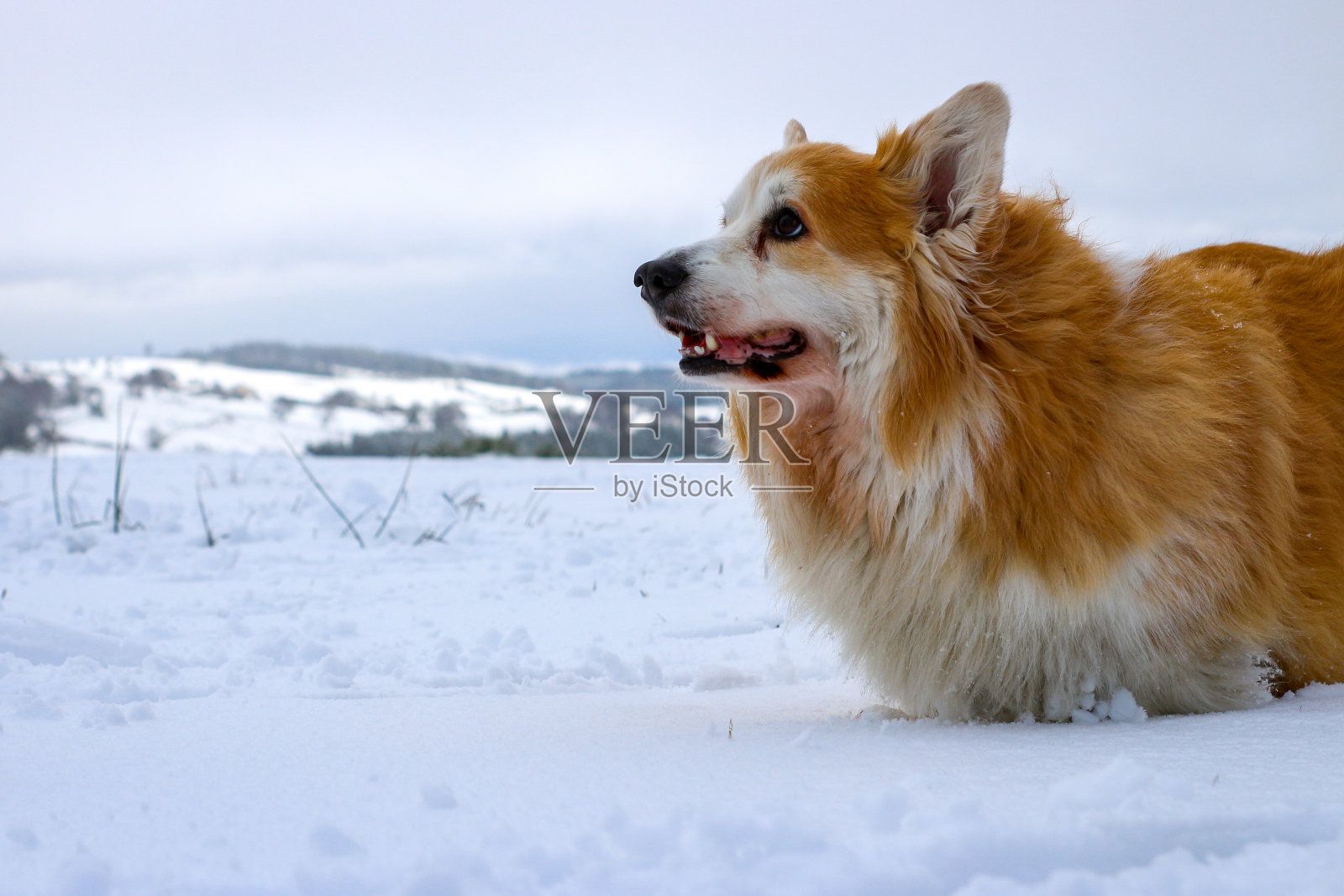 秋天照片摄影图片