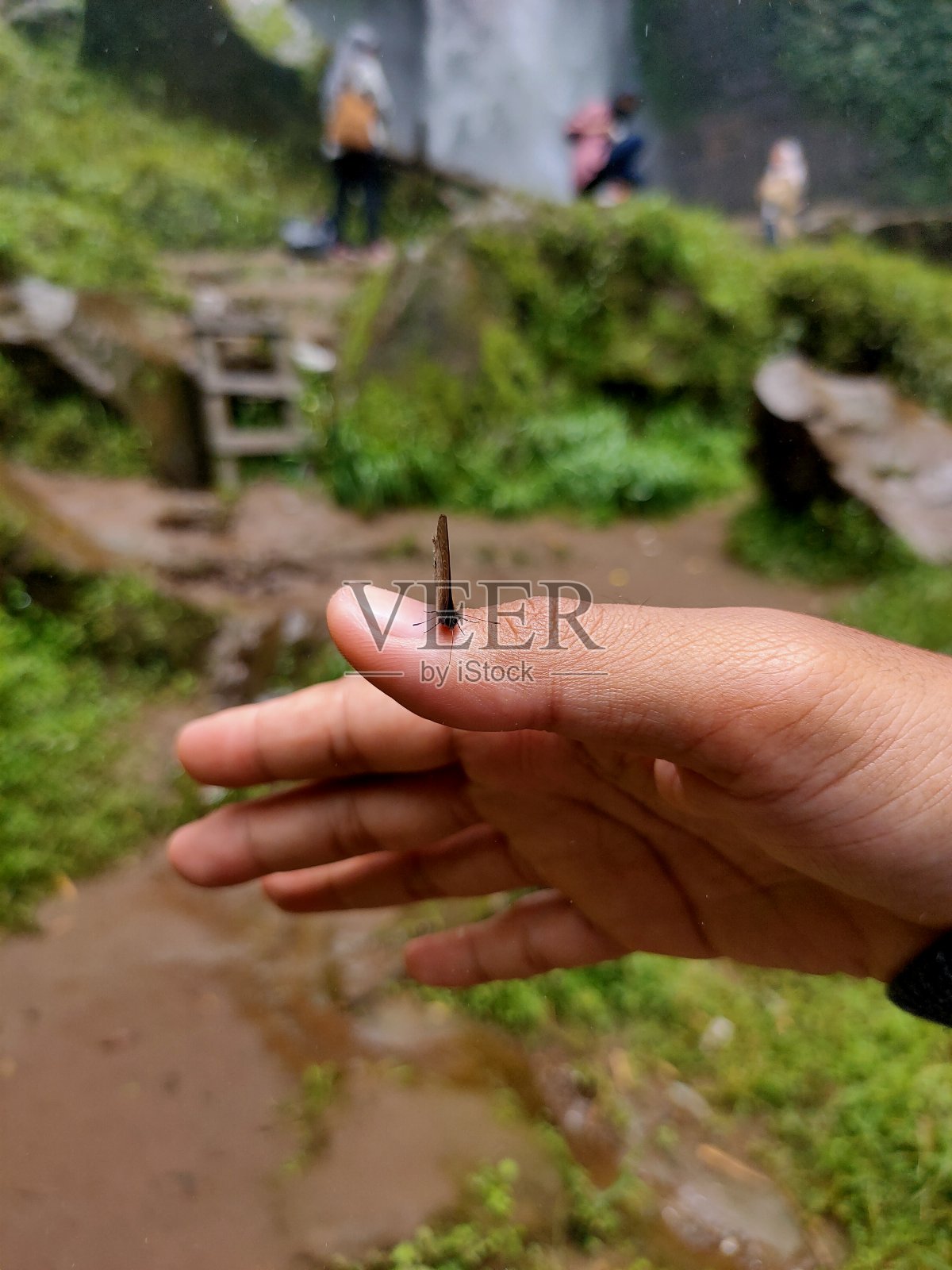 蝴蝶的手照片摄影图片