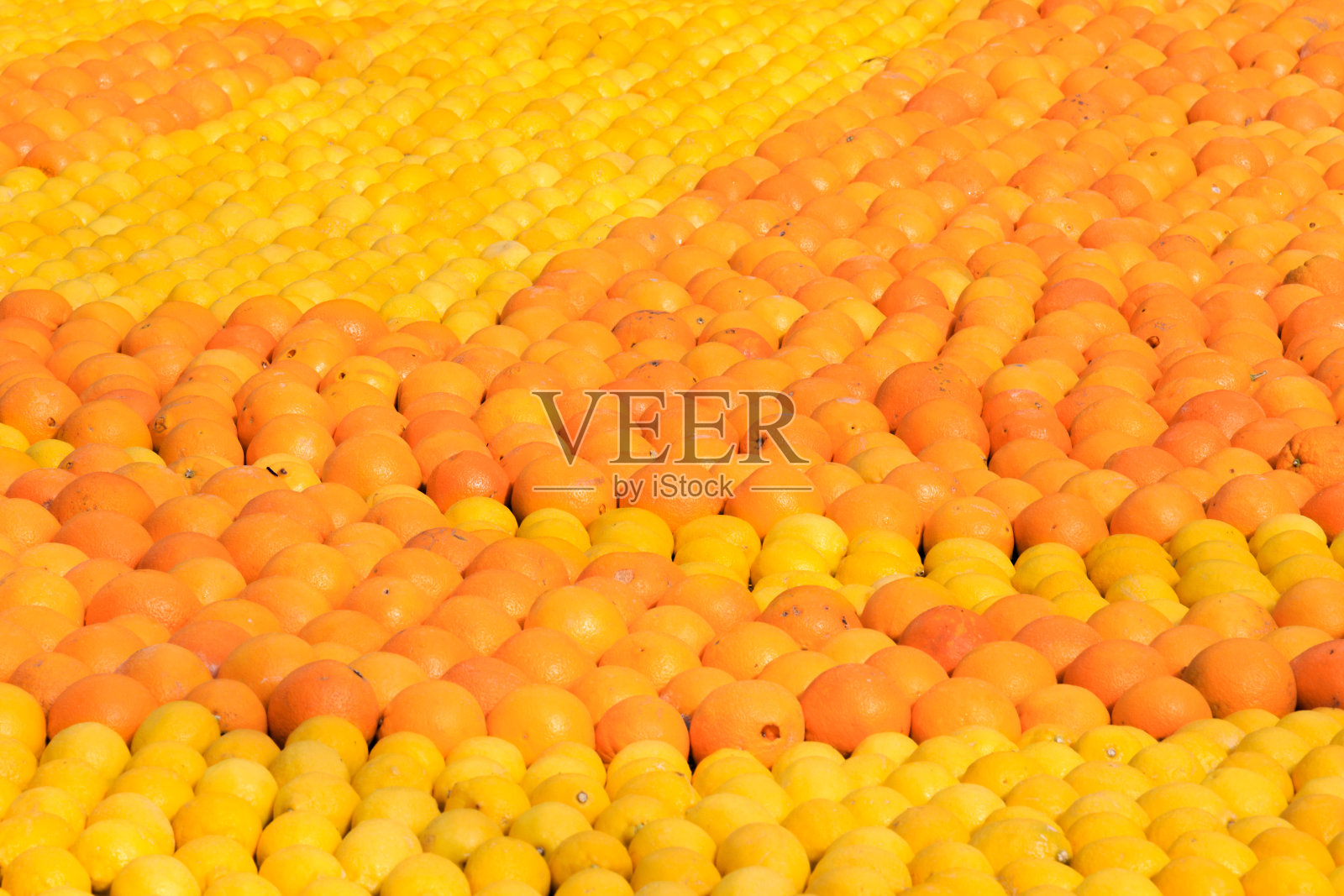 柠檬和柑橘类水果的图案照片摄影图片