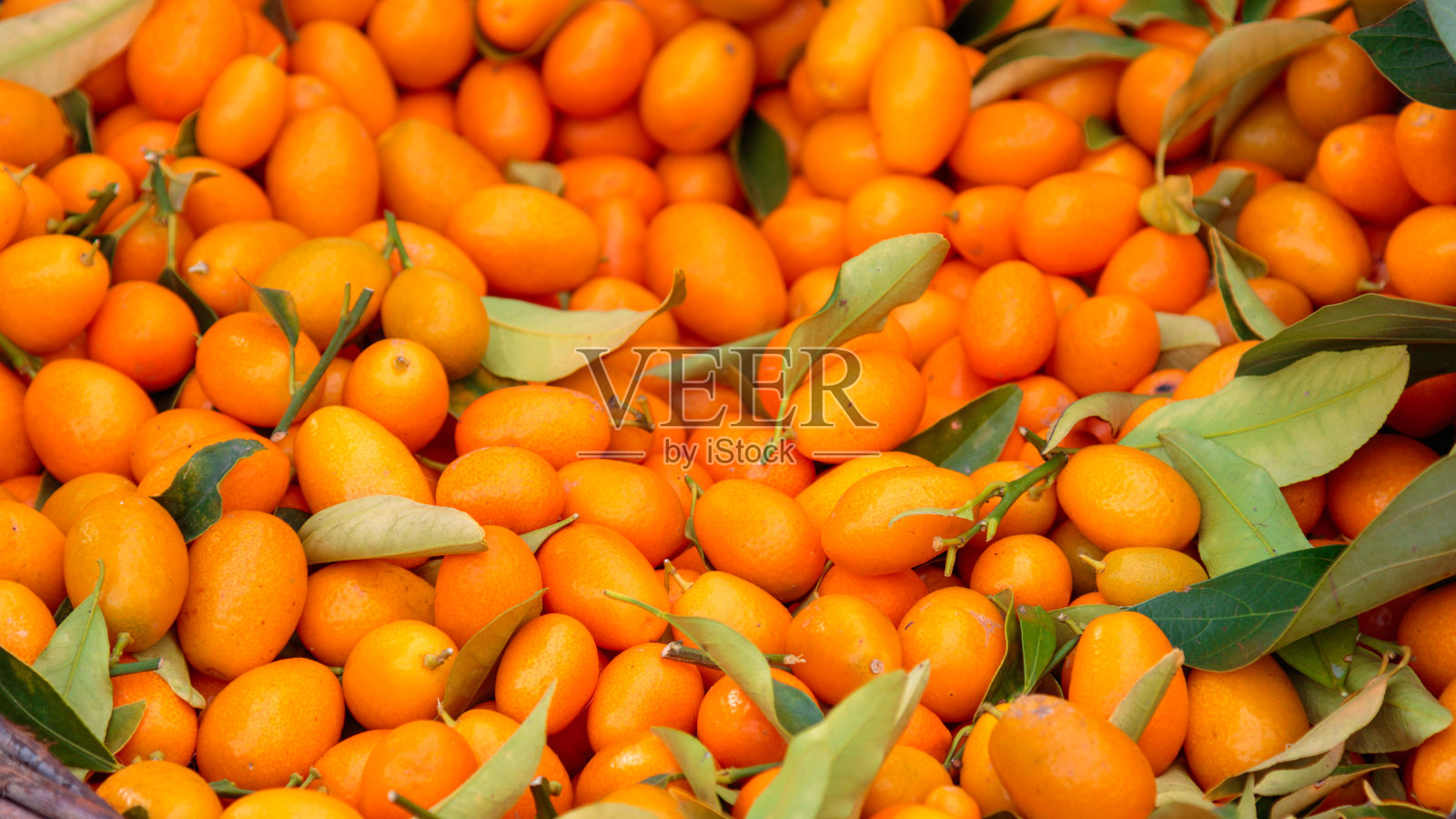 带叶子的散装迷你橙子照片摄影图片