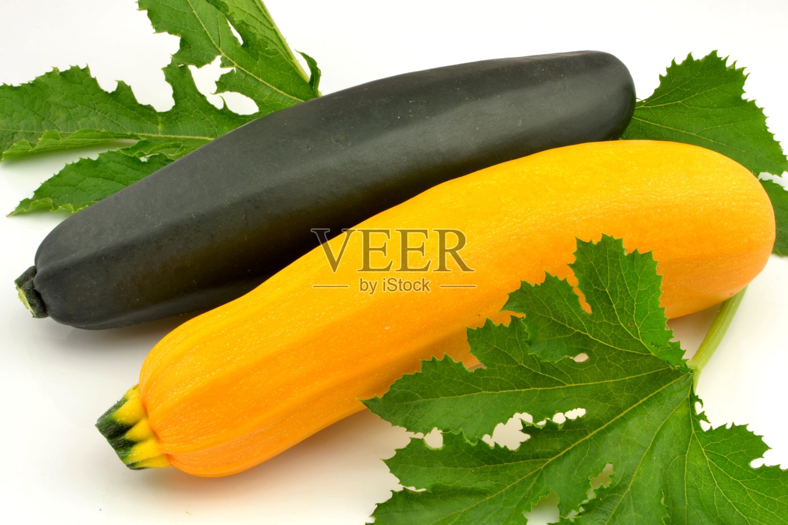 西葫芦照片摄影图片