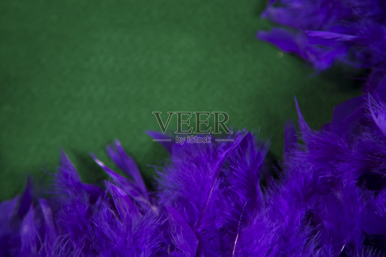 LV狂欢节羽毛围巾。红色，紫色和绿色。照片摄影图片