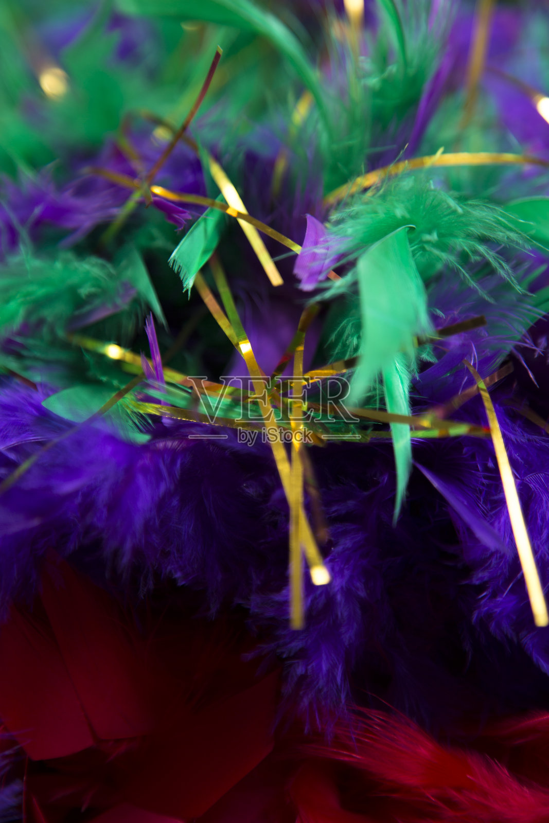 LV狂欢节羽毛围巾。红色，紫色和绿色。照片摄影图片