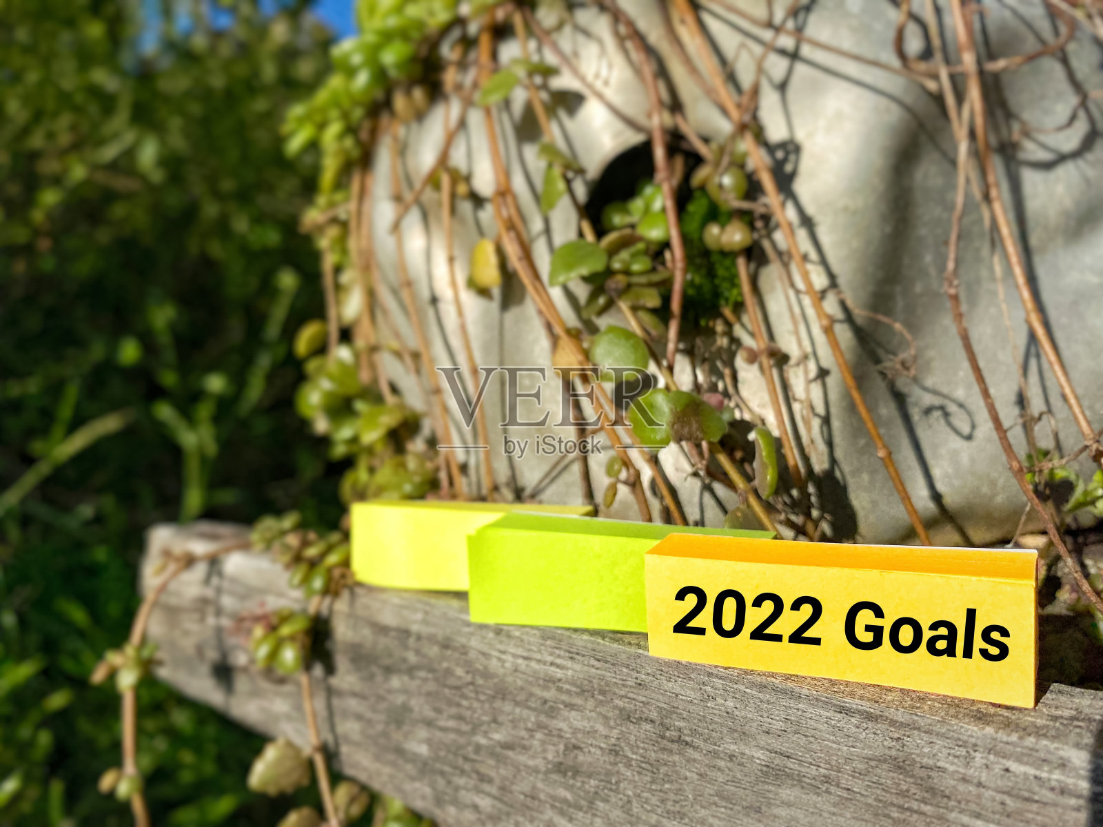 经营理念照片摄影图片