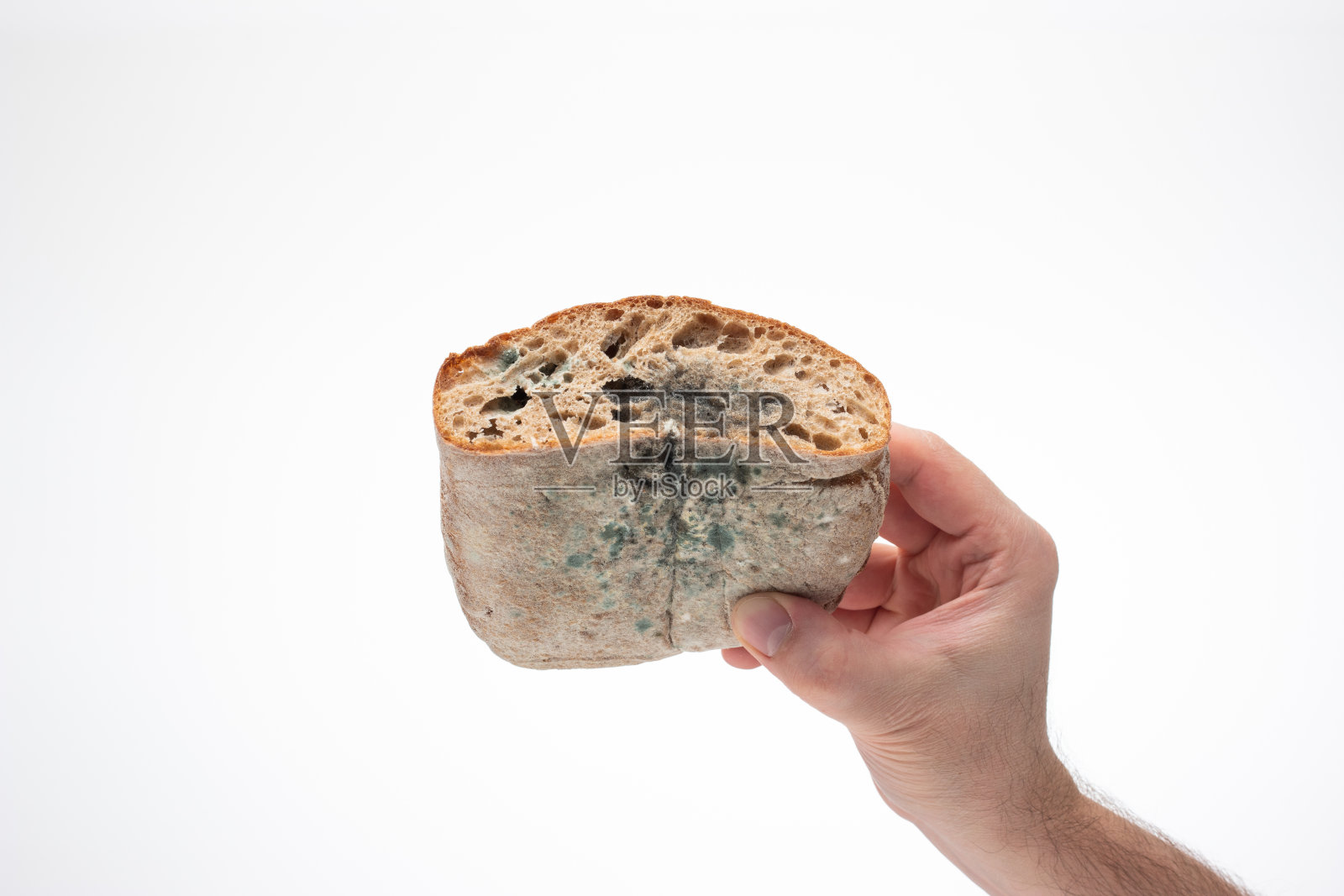 白人男性手里拿着腐烂的老面包。近景摄影，孤立在白色背景上。照片摄影图片