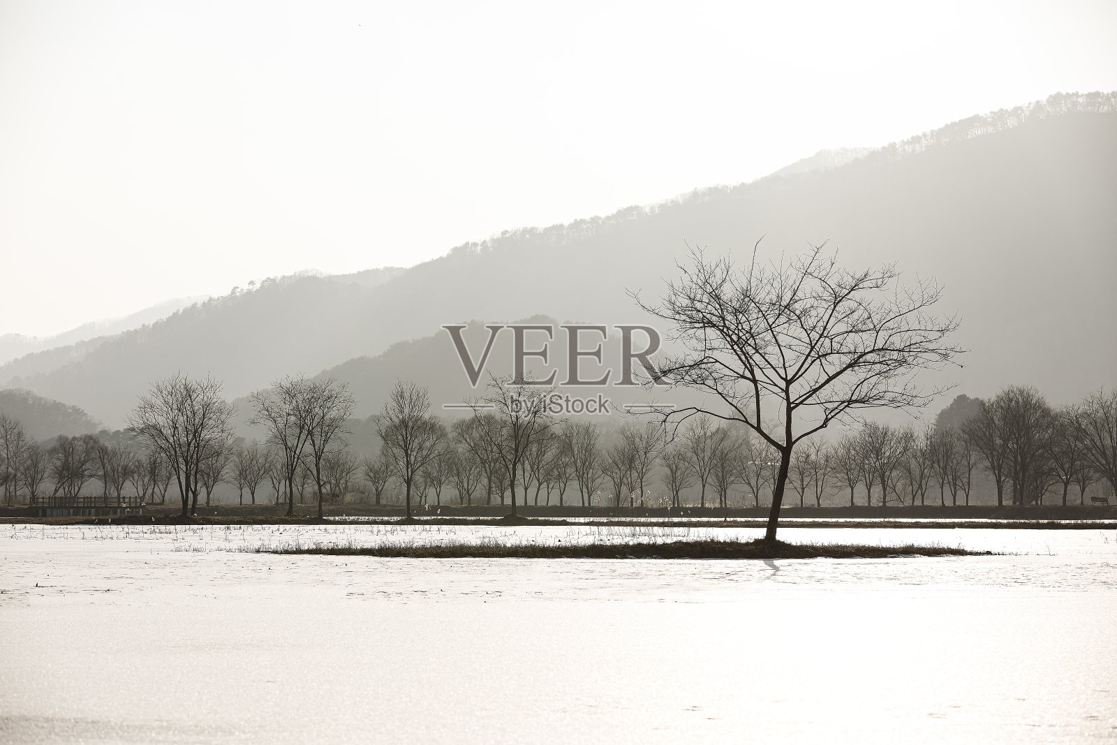 冬天的景色照片摄影图片