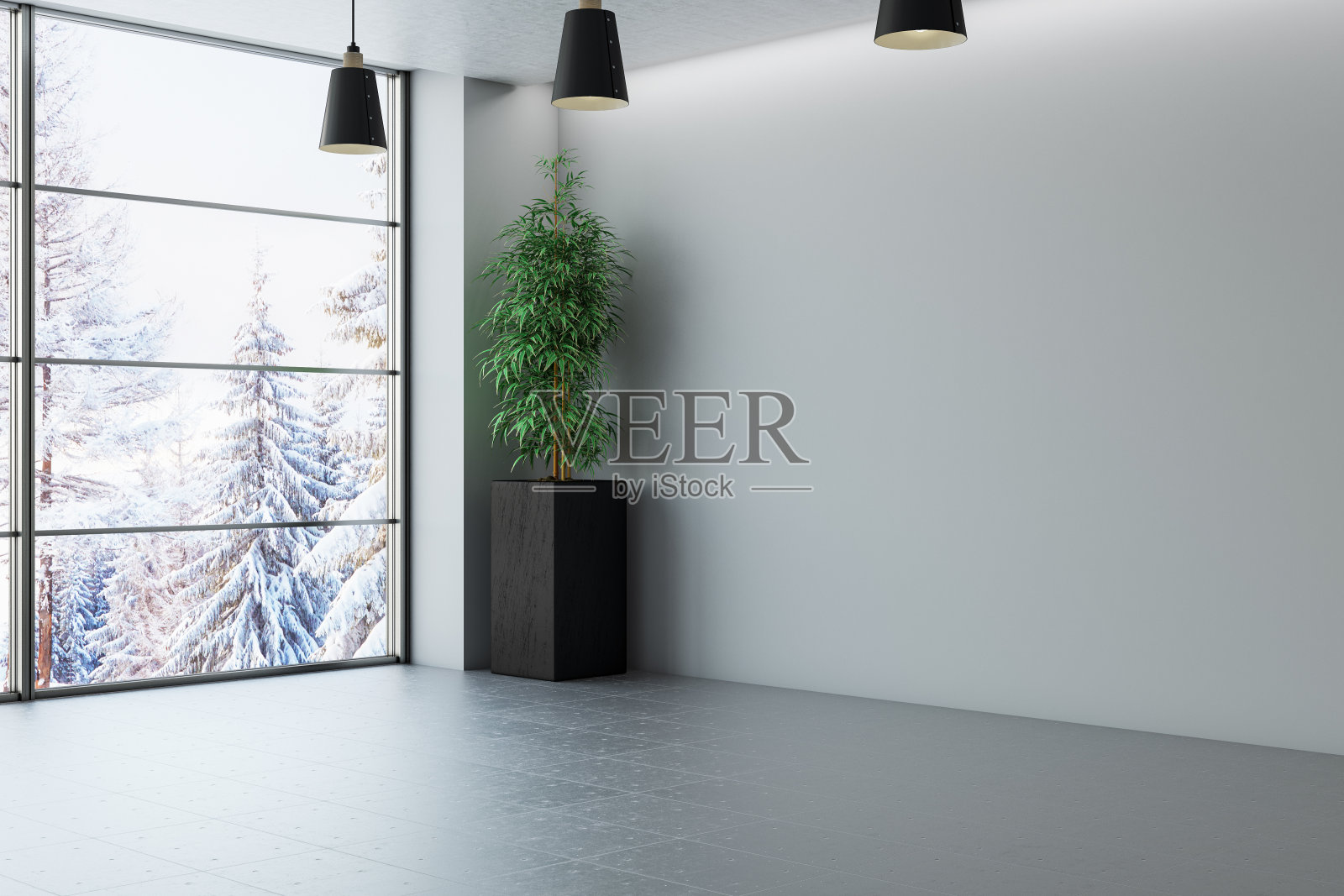 空的现代房间与冬天的观点照片摄影图片