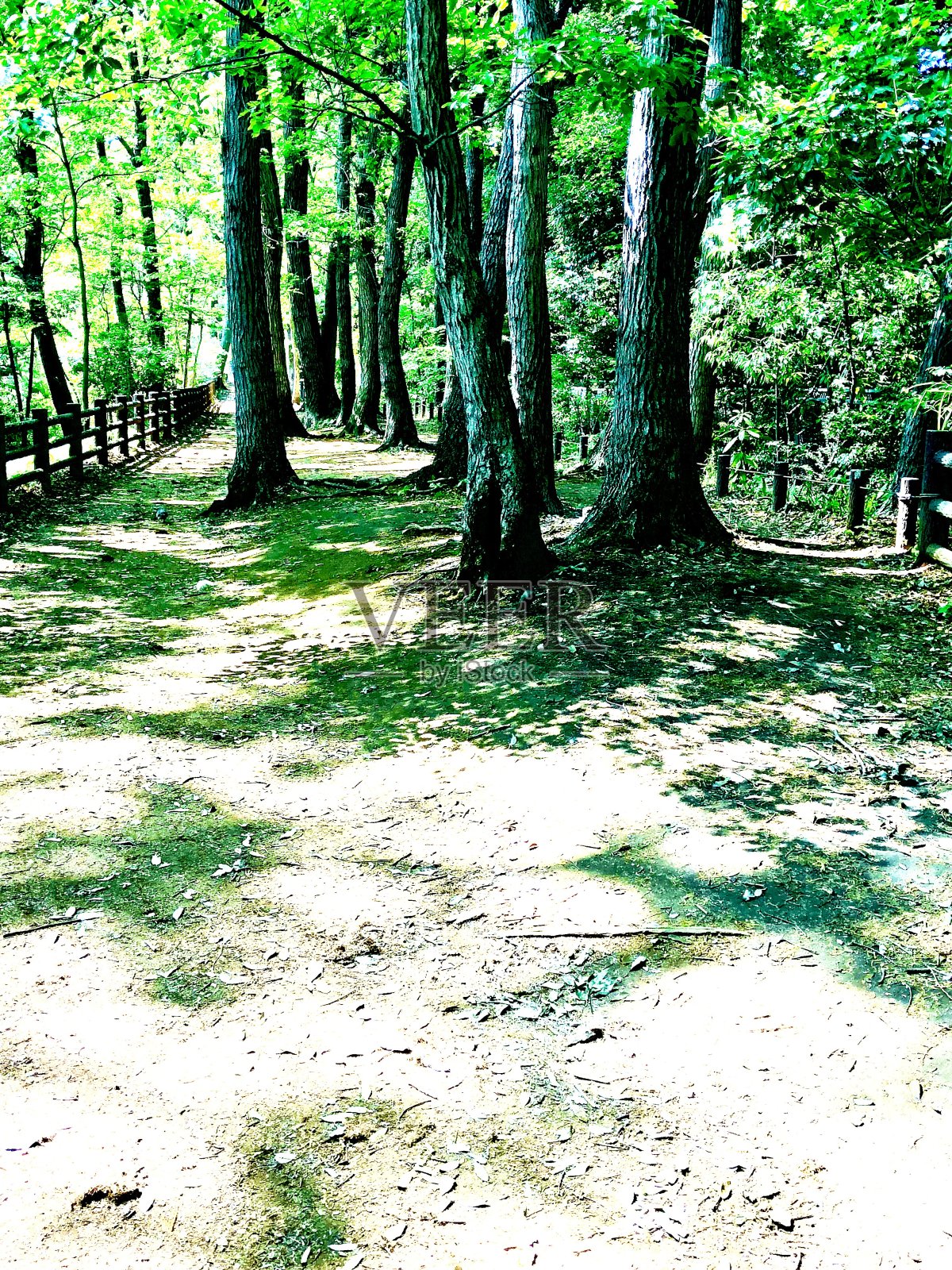 阴影照片摄影图片