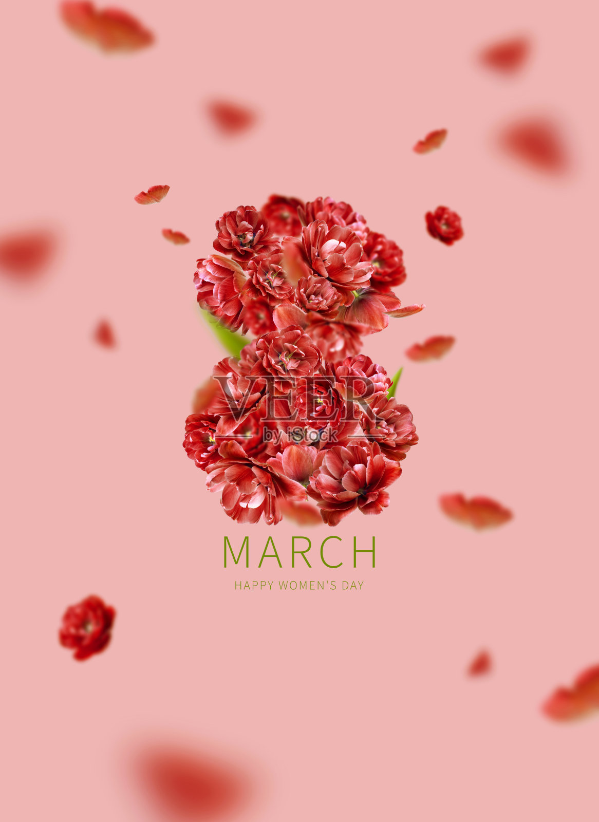 3月8日假期概念。数字8从红色牡丹郁金香粉红色的背景。国际妇女节。鲜花贺卡为女性，花卉构图。春暖花开，节日布置喜庆背景照片摄影图片
