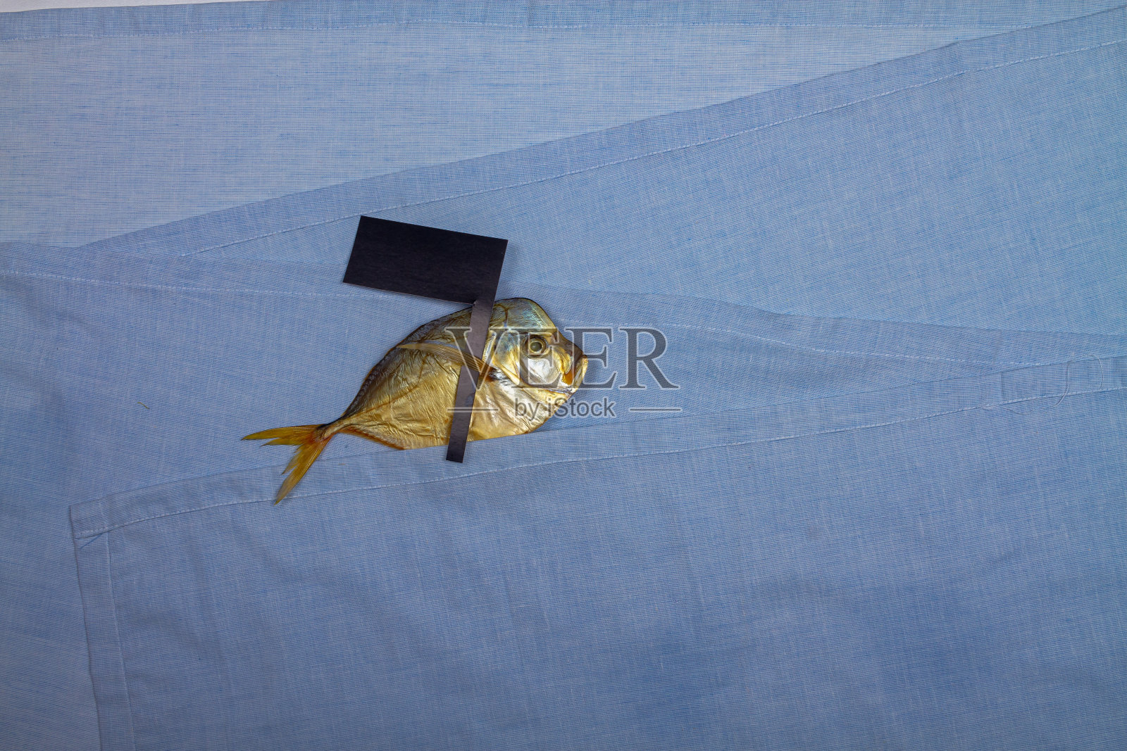 一条死的干犁鱼在蓝色的海面上游动，它的鳍上插着一面黑色的旗子照片摄影图片