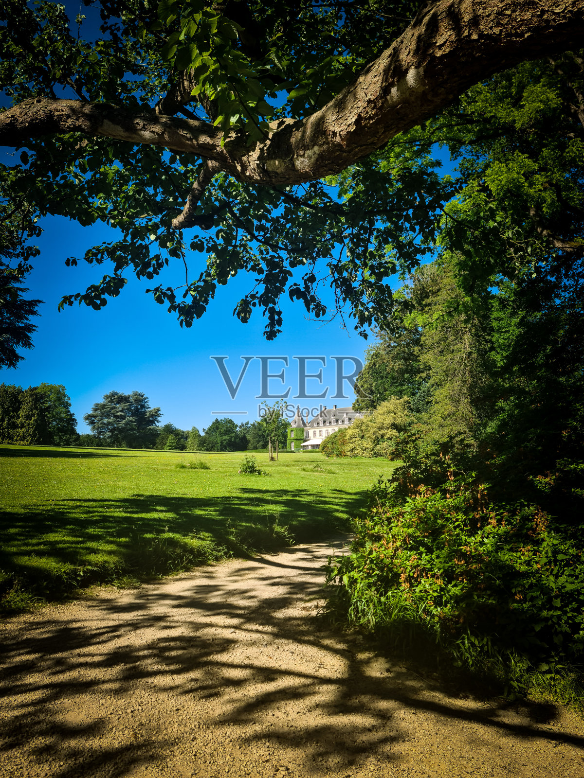 在公园散步照片摄影图片