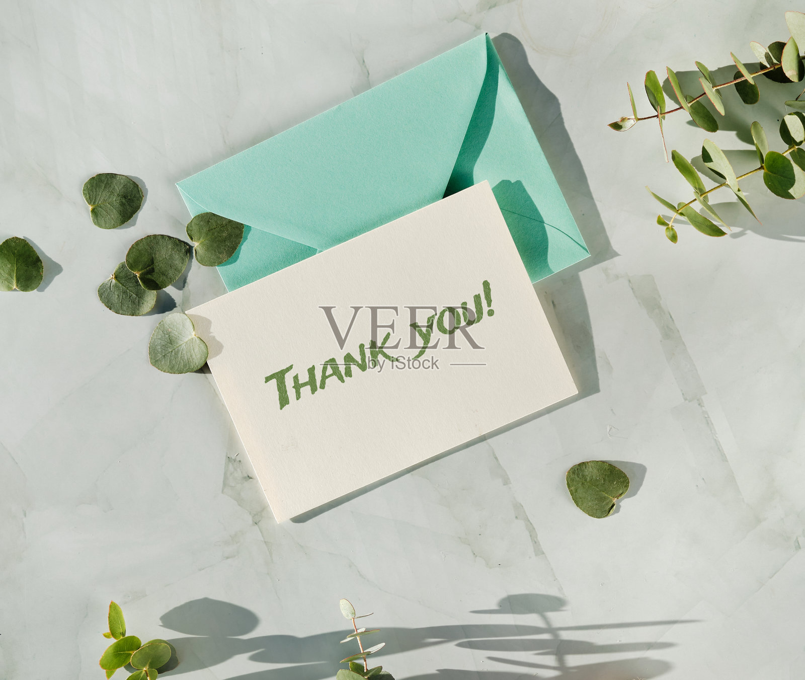 感谢卡和薄荷绿信封。新鲜的桉树树枝和树叶照片摄影图片