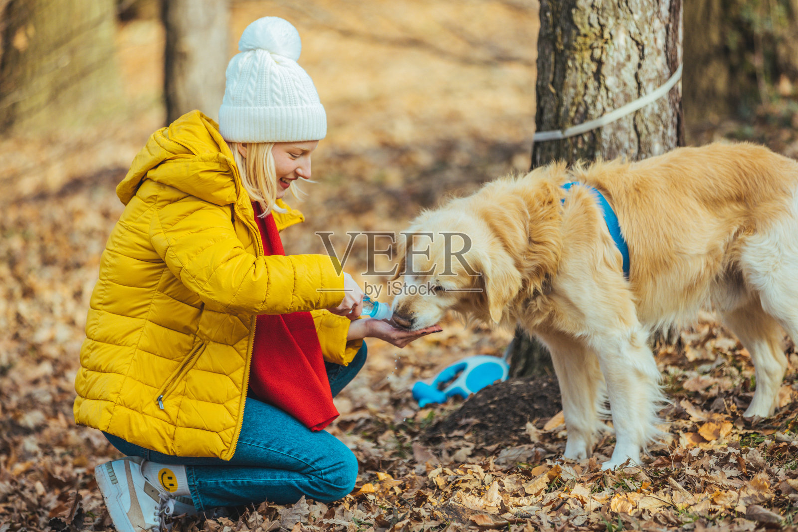 一位妇女给她口渴的狗喂水。照片摄影图片