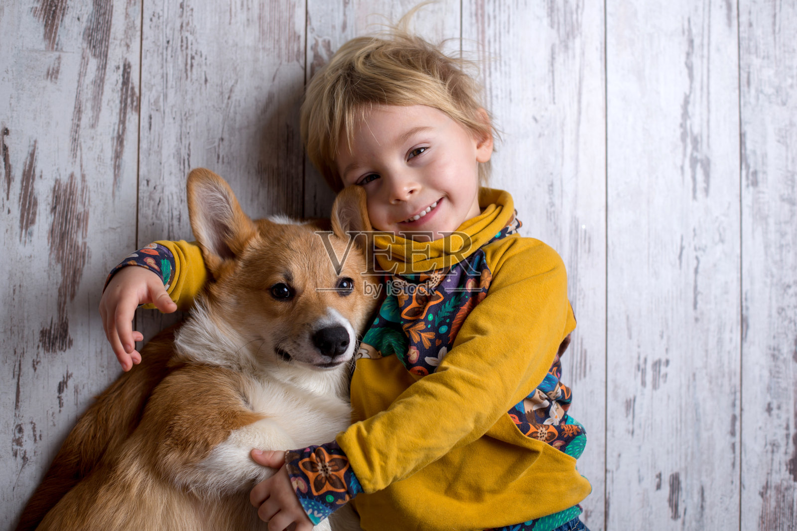 幼童和狗，男孩和小狗在家里一起玩耍照片摄影图片