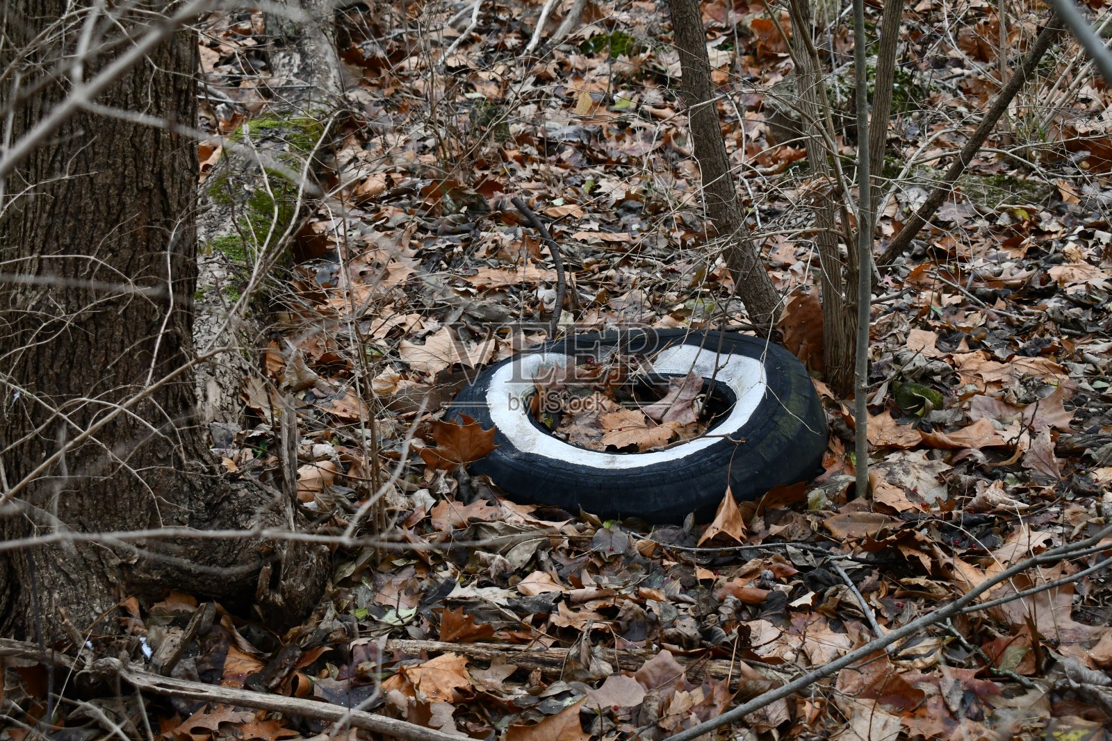 旧轮胎照片摄影图片