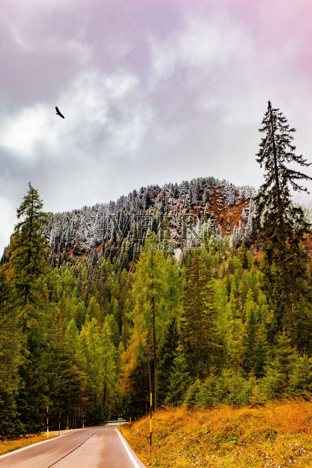 山林公路照片摄影图片