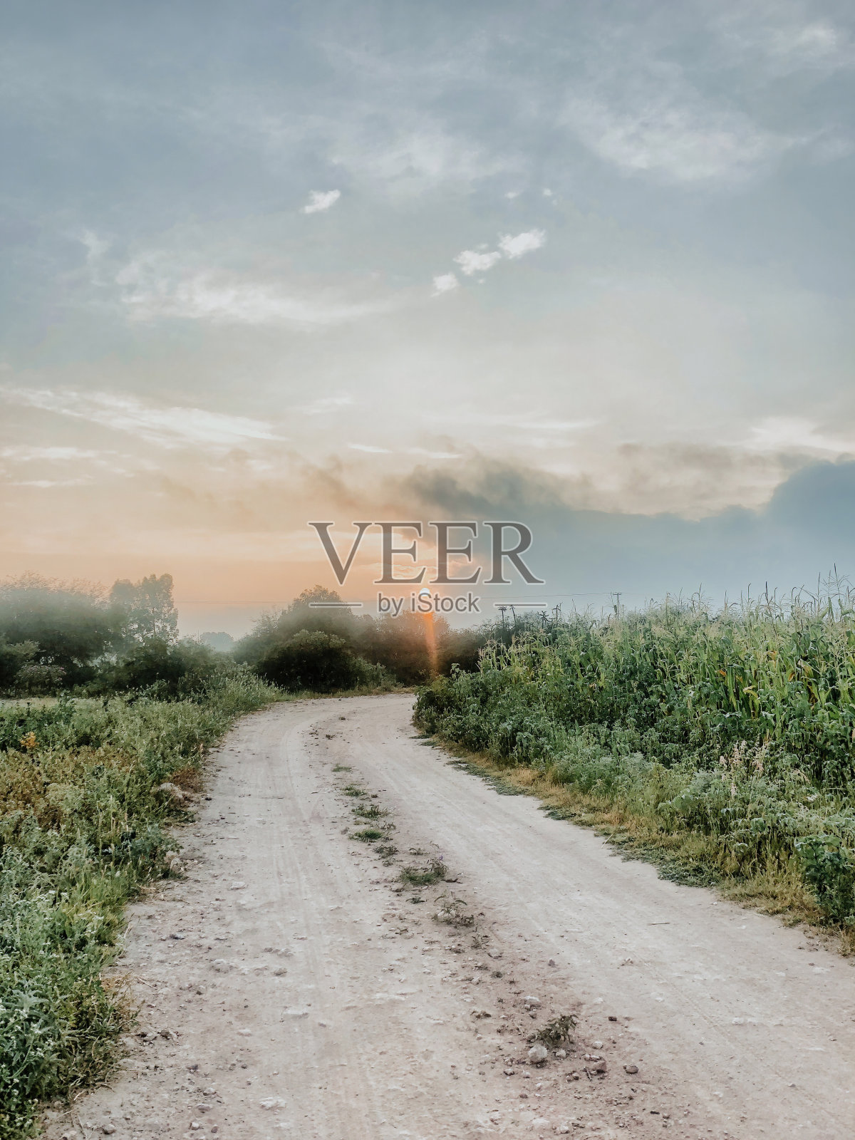 乡间小路照片摄影图片