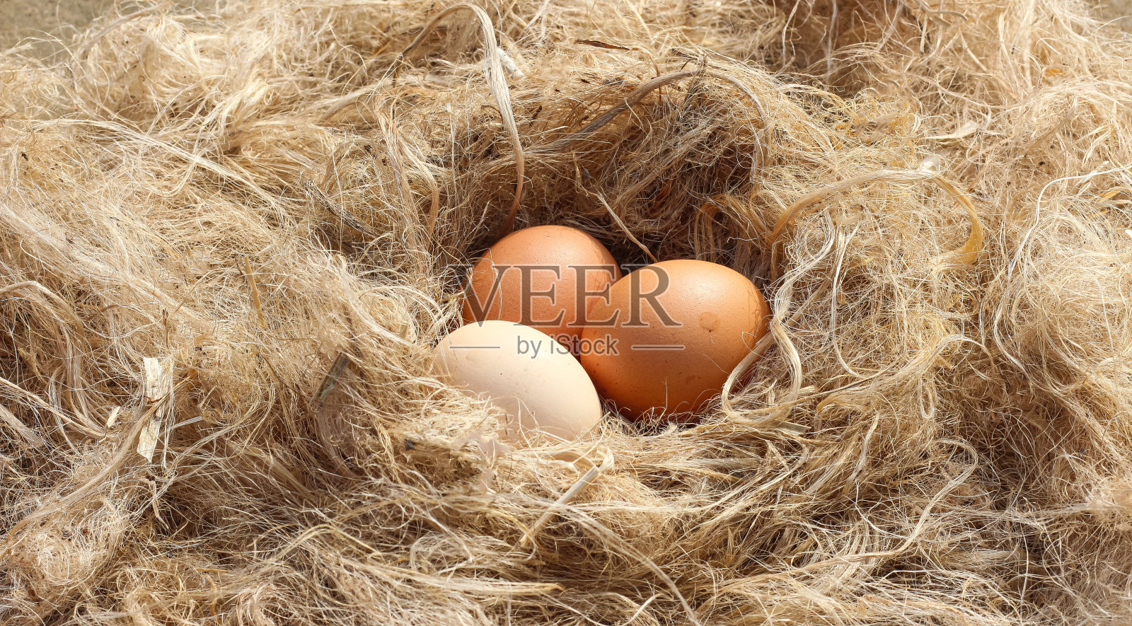 鸡蛋在黄麻巢关闭。复活节、春季或生态食品概念。照片摄影图片