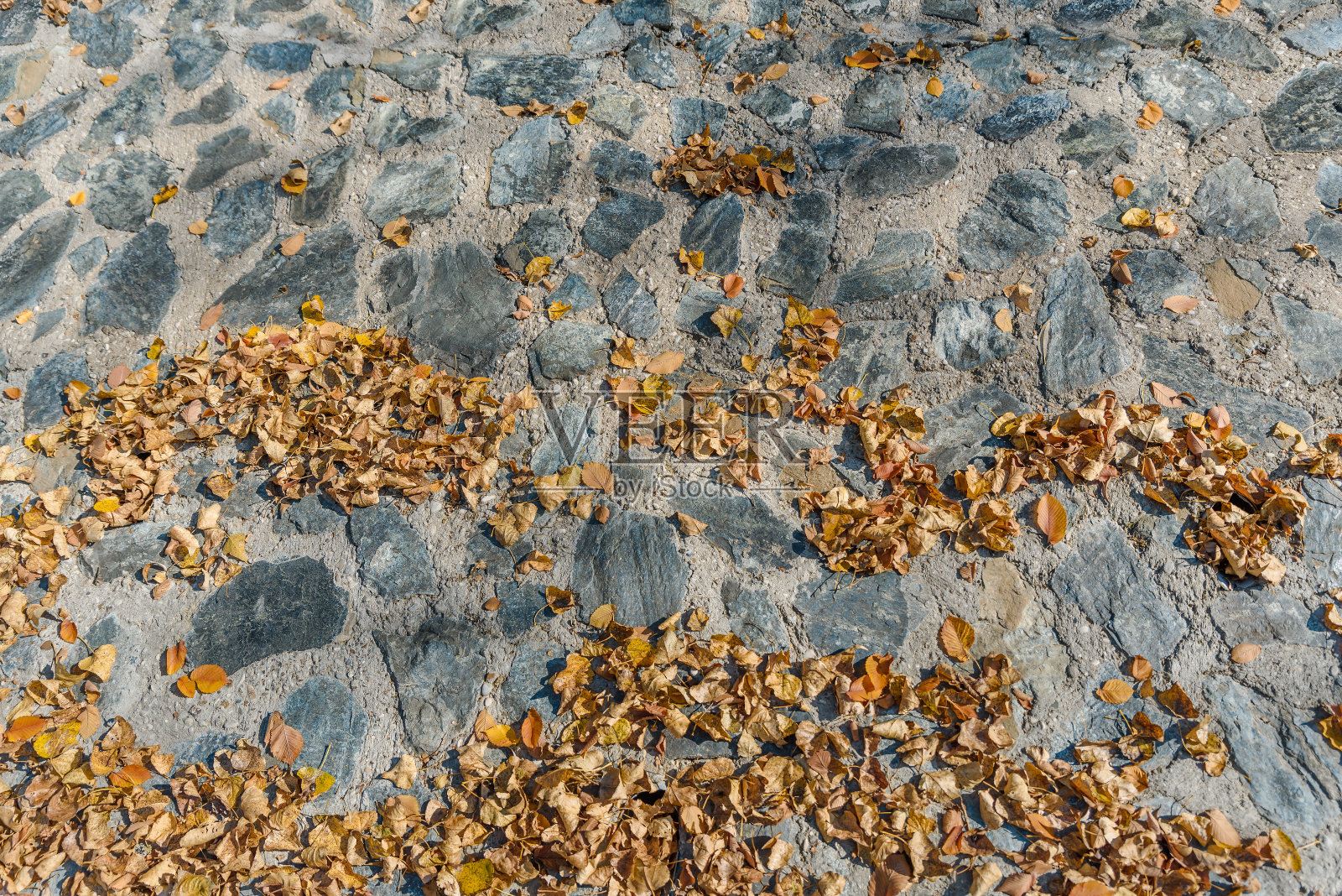 秋叶落在人行道上，落叶落在人行道上照片摄影图片