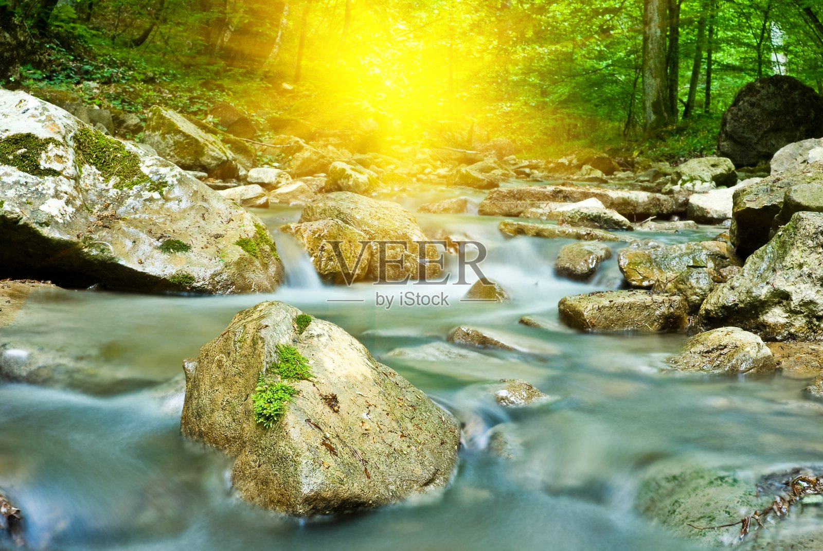 阳光下的小河照片摄影图片