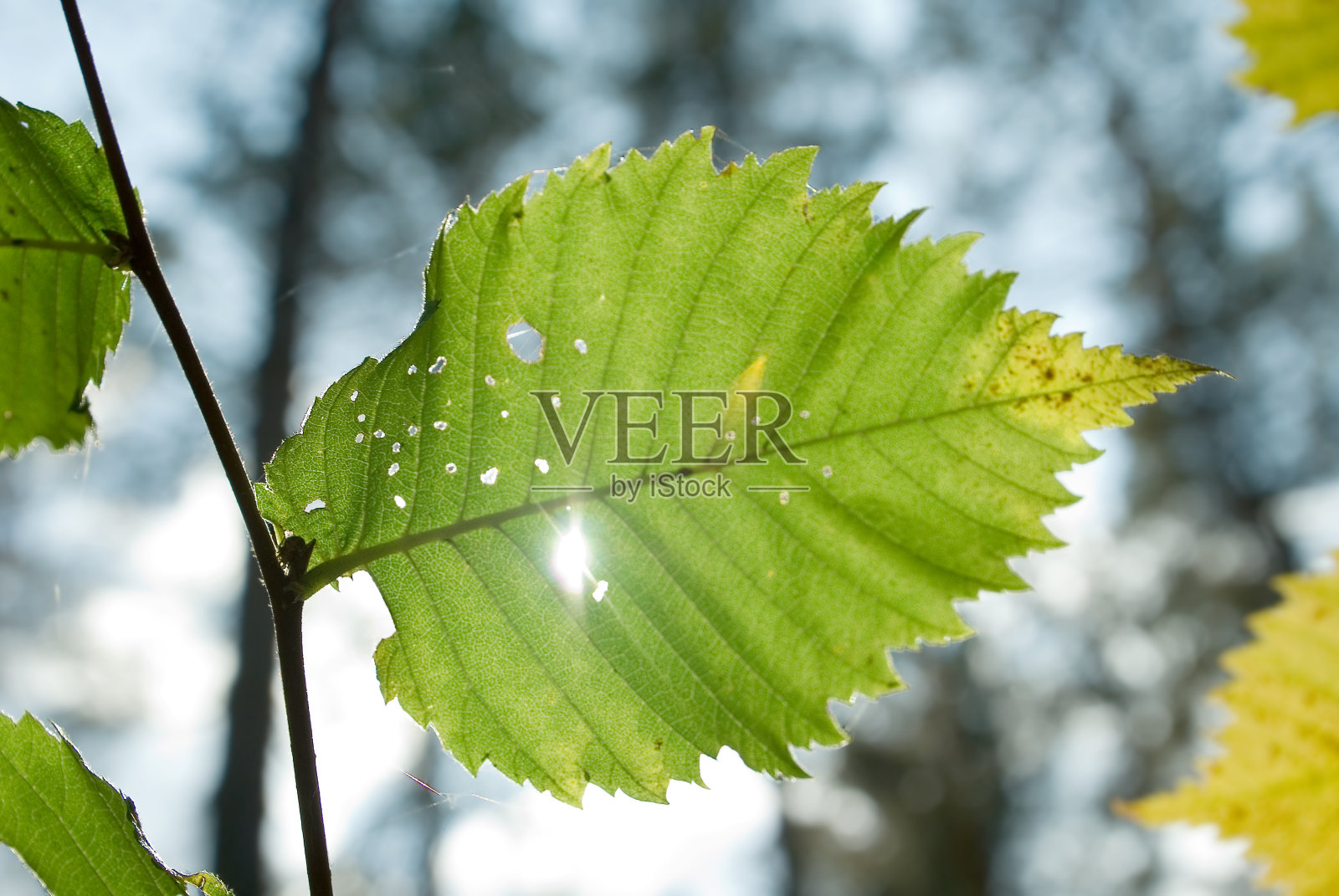 一缕离别的阳光照片摄影图片