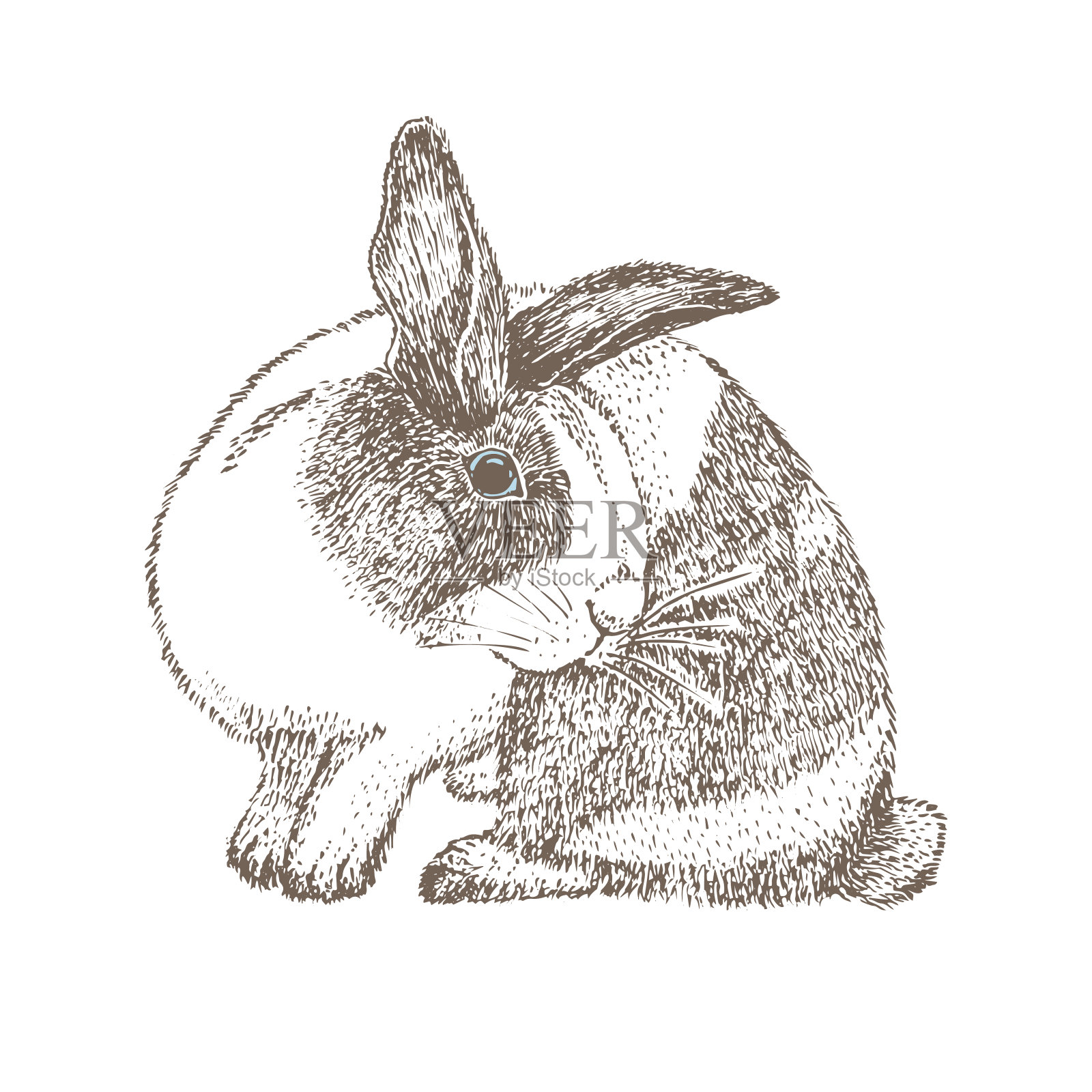 眼睛周围有黑色斑点的白兔。座位的兔子。野兔孤立在白色背景上。手绘草图Enaving风格。中国新年的象征。复活节快乐的面具人物。设计元素图片
