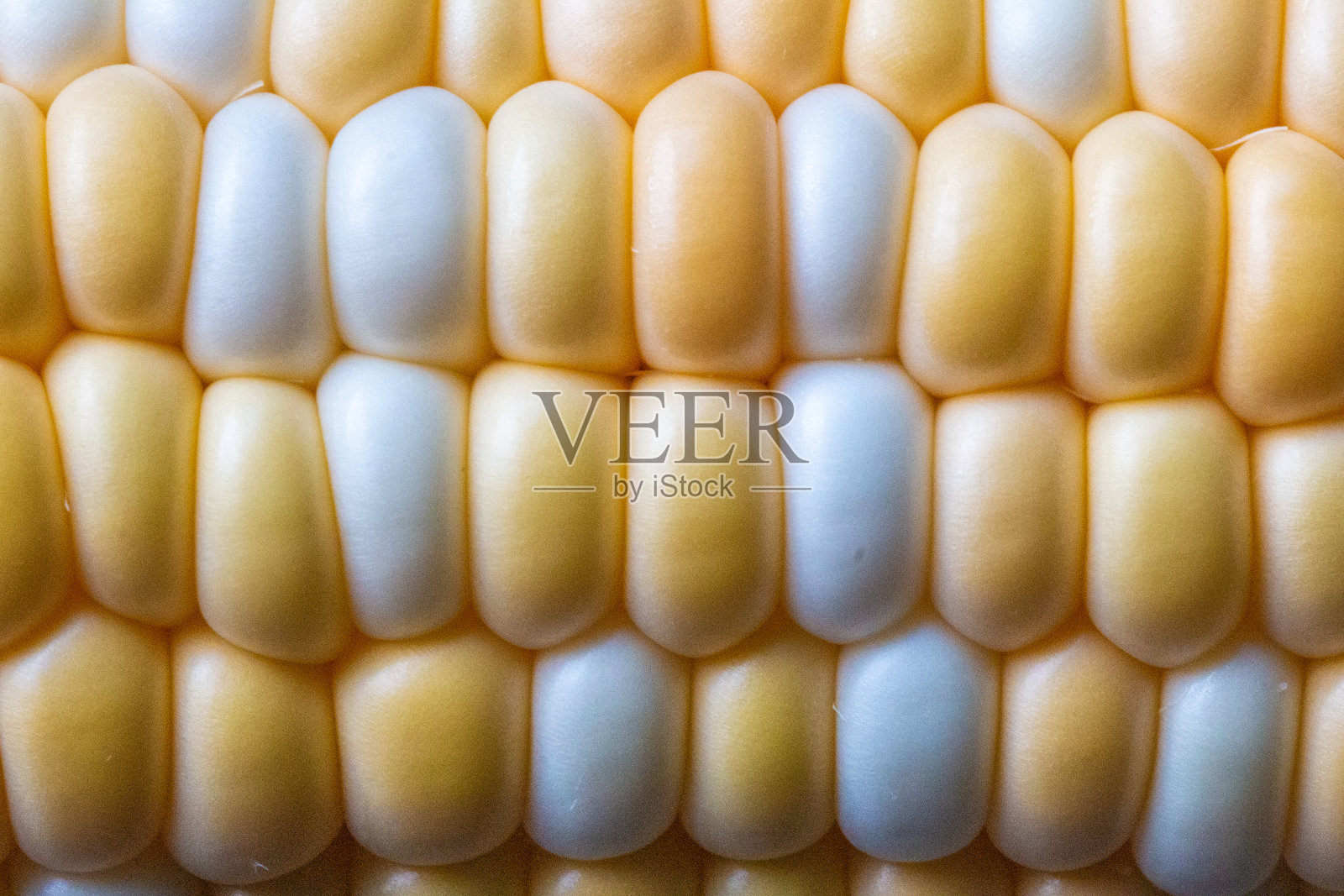 微距拍摄的新鲜生甜玉米棒子，质地，背景照片摄影图片