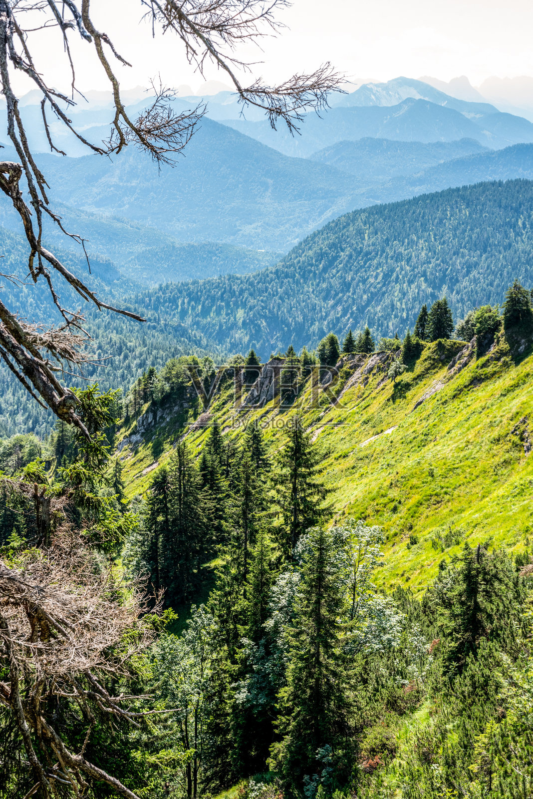 在巴伐利亚的朗格里斯村附近徒步旅行照片摄影图片