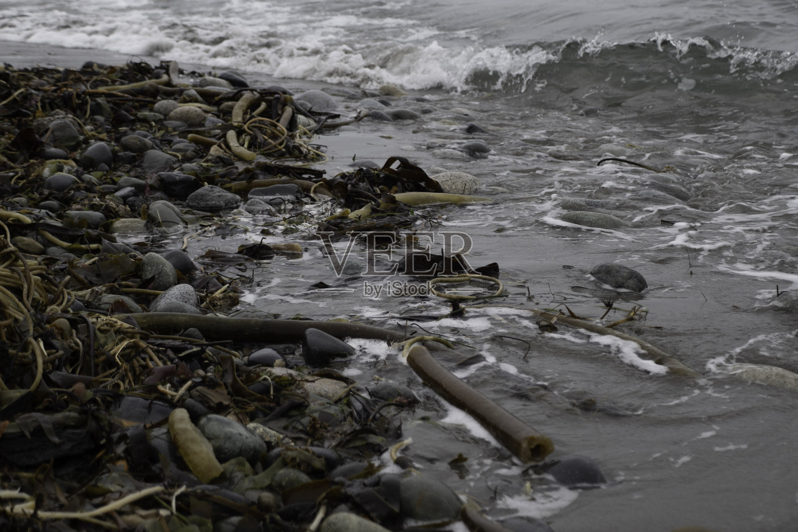 无垠的太平洋照片摄影图片