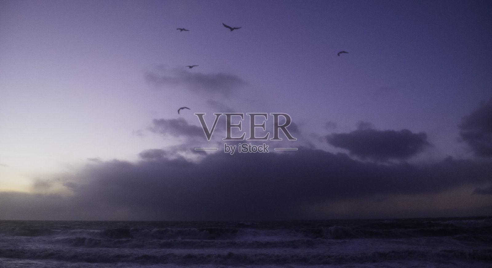 无垠的太平洋照片摄影图片