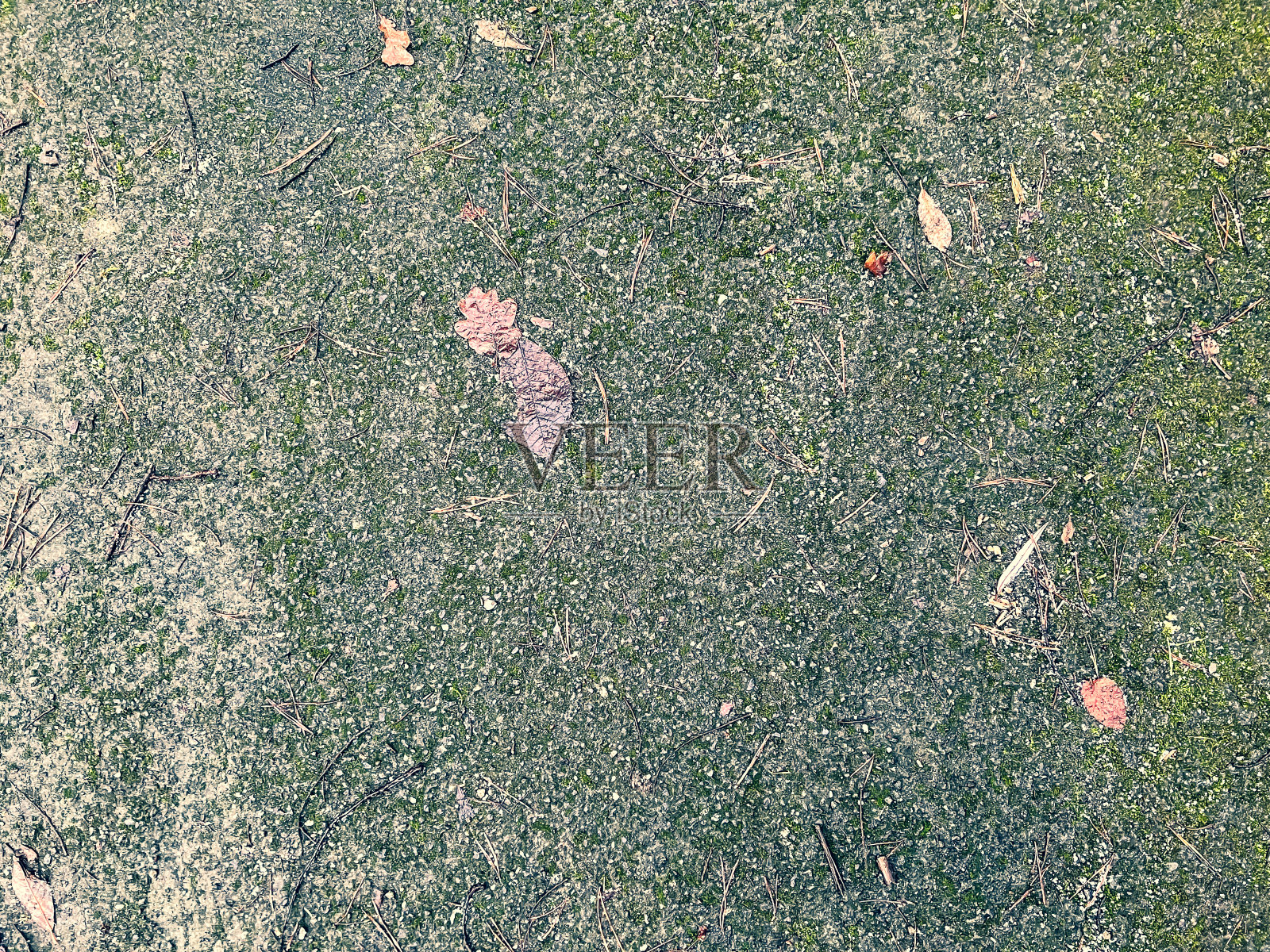 有苔藓和树叶的湿混凝土。照片摄影图片