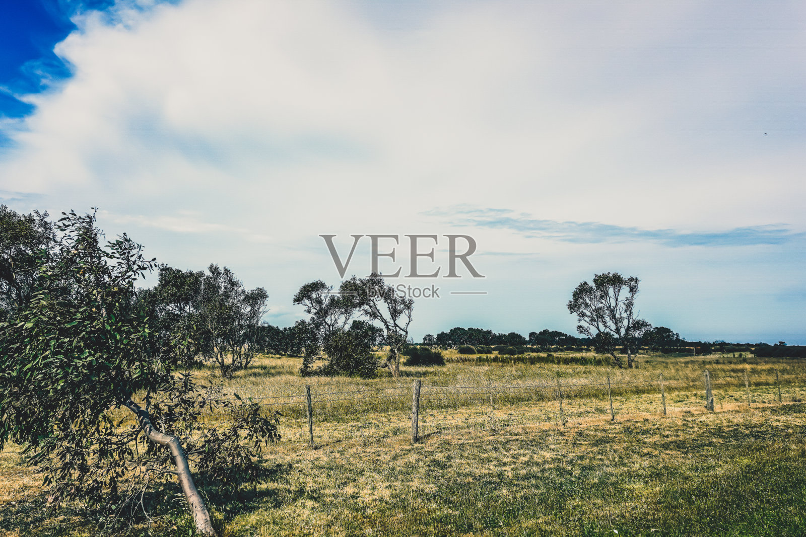 天气好的澳大利亚内陆。照片摄影图片