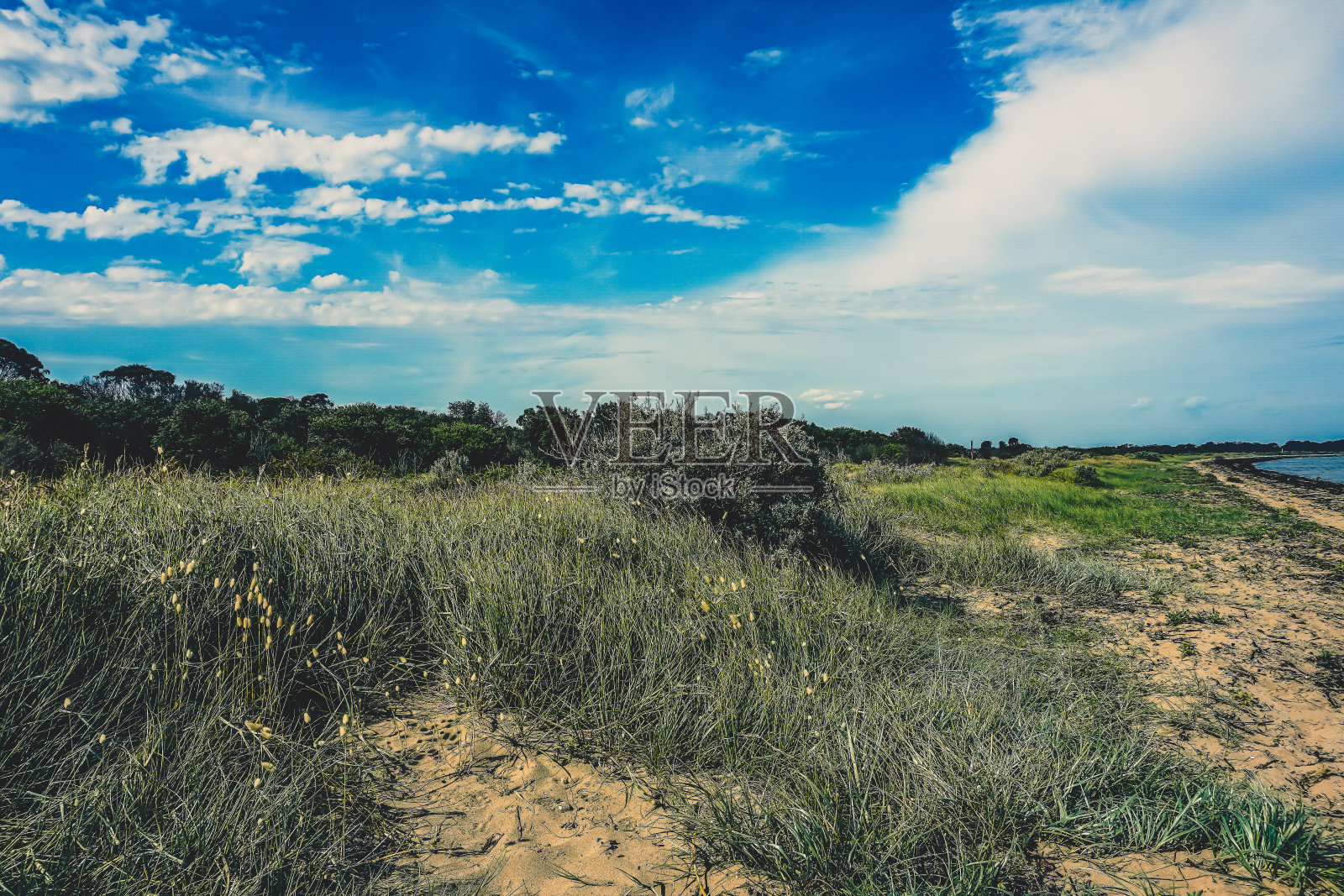 澳大利亚内陆阳光明媚的田野和树木。照片摄影图片