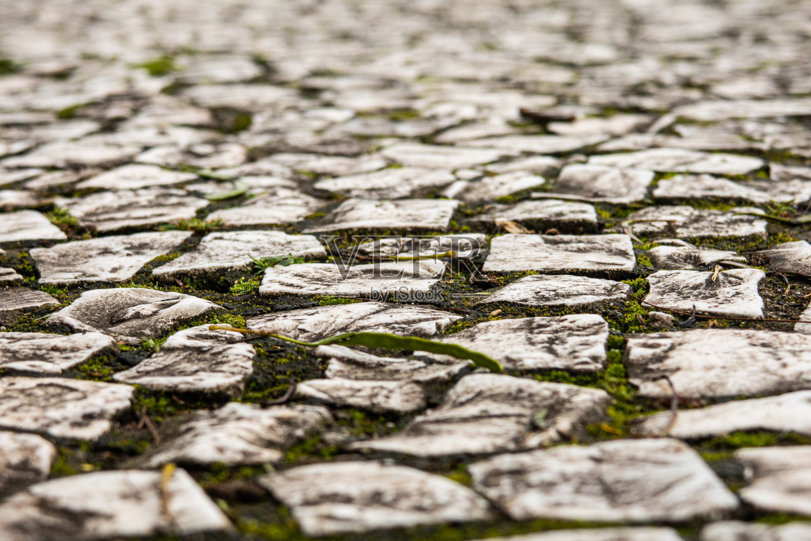 传统葡萄牙石铺装照片摄影图片