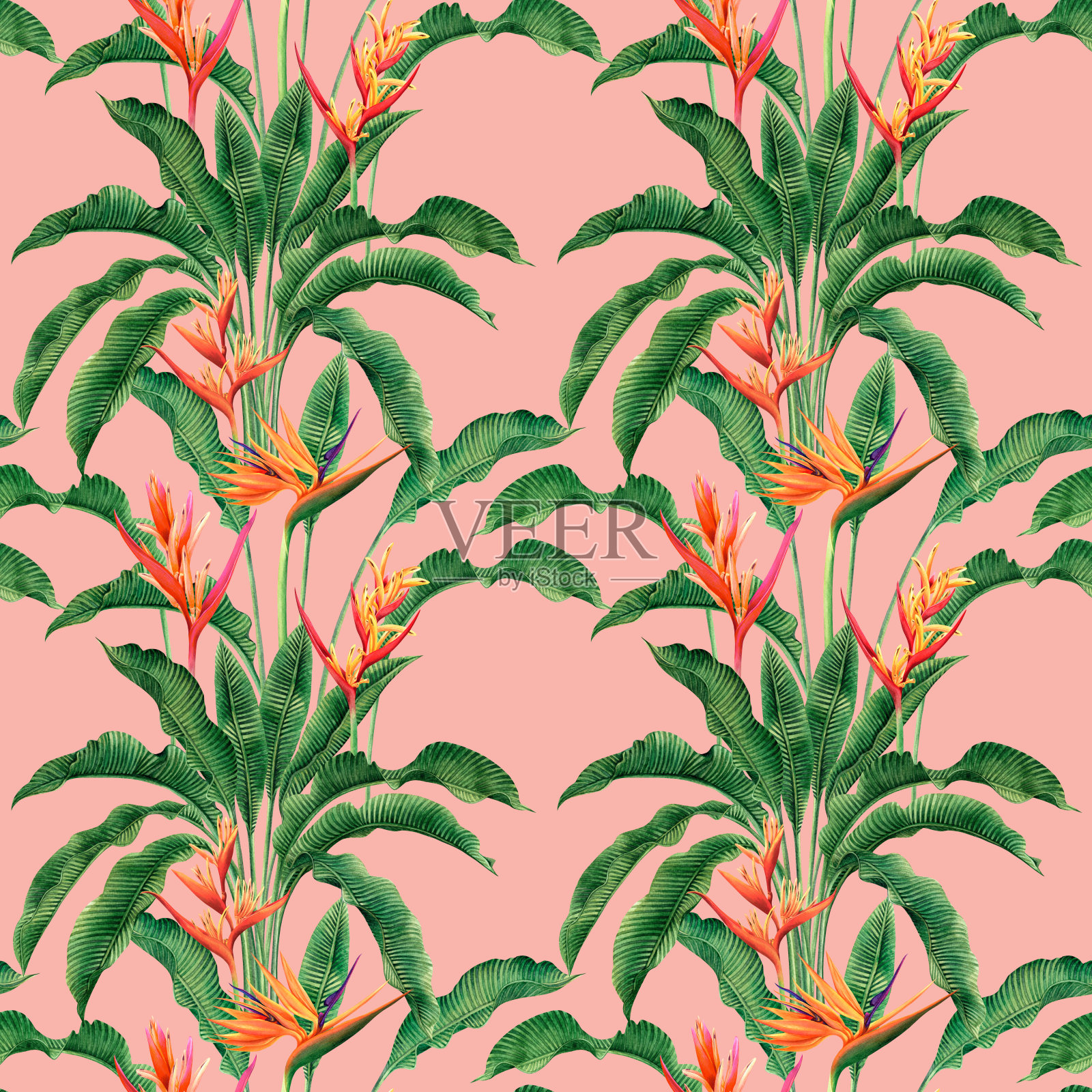 水彩画天堂鸟盛开的花朵，彩色无缝图案黑暗的背景。水彩手绘绿叶插画树热带异国风情叶壁纸纺织品夏季。插画图片素材