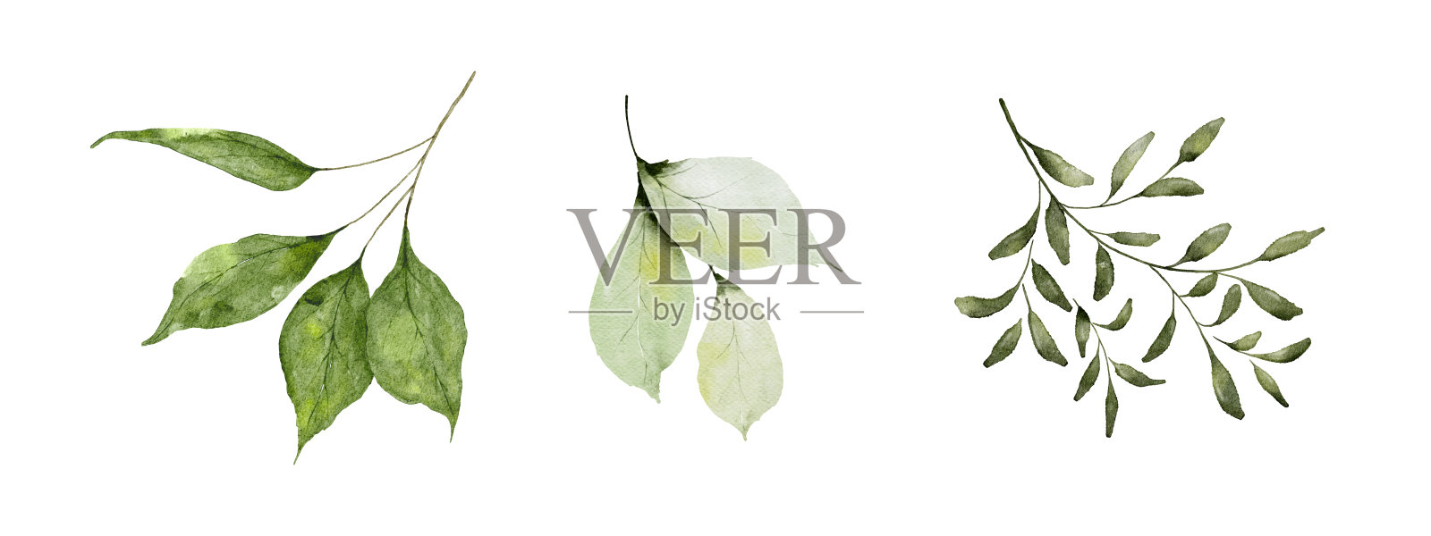 水彩绿叶元素集设计元素图片