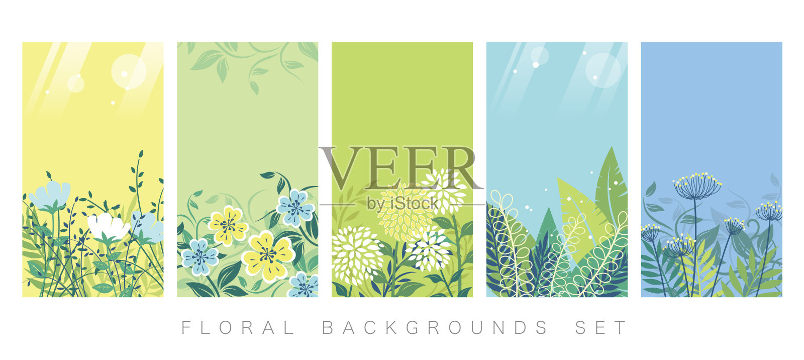 向量植物背景设置与文本空间。插画图片素材