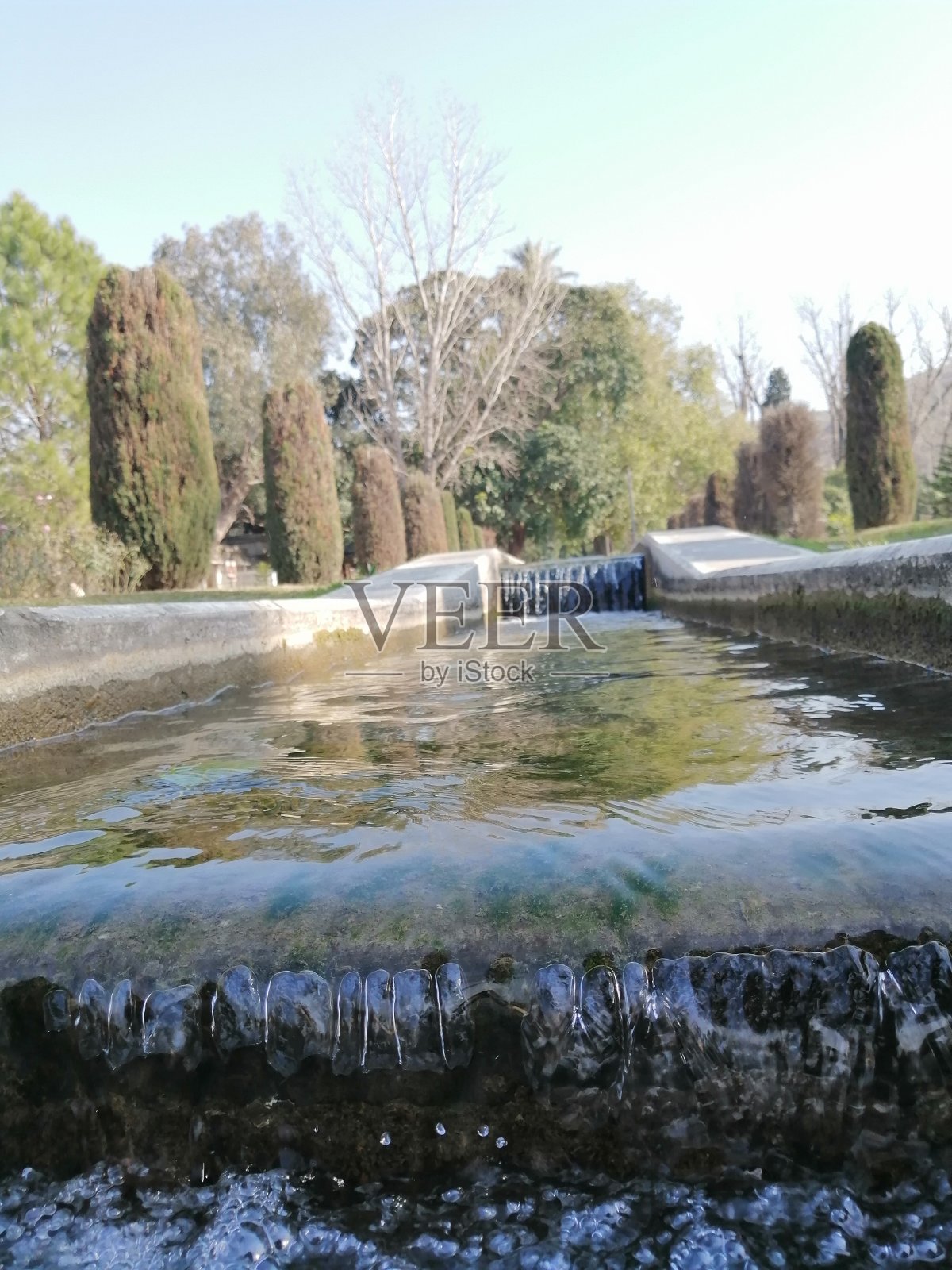 绿植有水滋润照片摄影图片