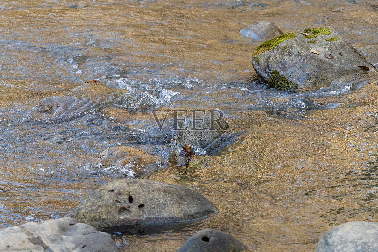 山河在石头和树木之间。水中巨石的特写。巨大的石头在绿色的苔藓。湍急的河流，石头周围有小漩涡和瀑布，景色优美。照片摄影图片