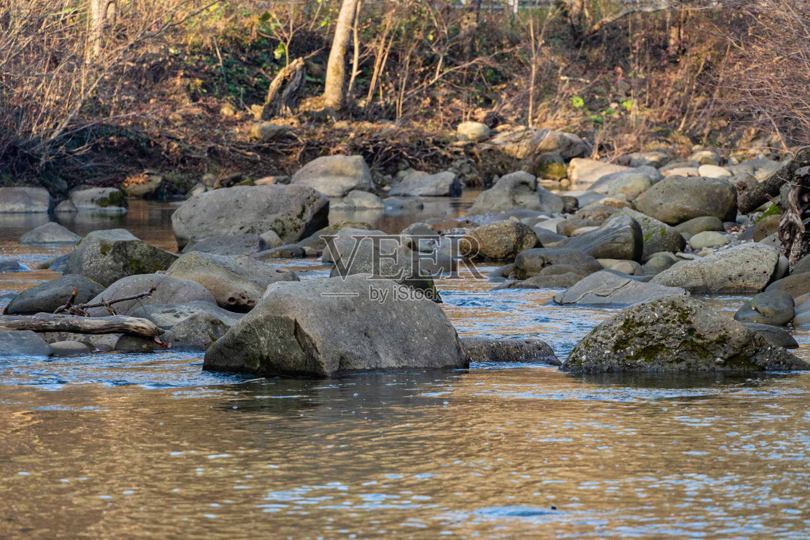 山河在石头和树木之间。水中巨石的特写。巨大的石头在绿色的苔藓。湍急的河流，石头周围有小漩涡和瀑布，景色优美。照片摄影图片